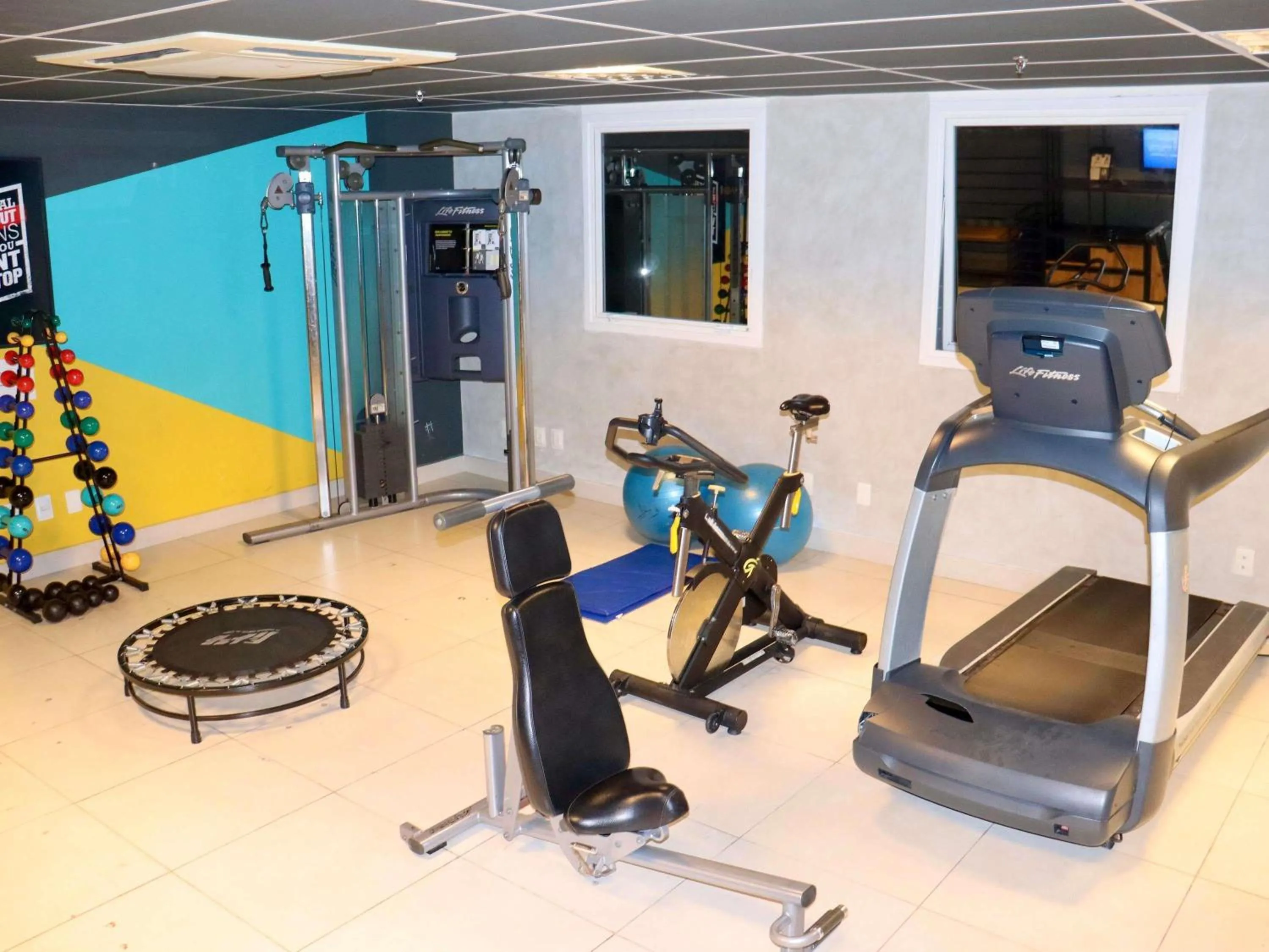 Other in Ibis Mossoro