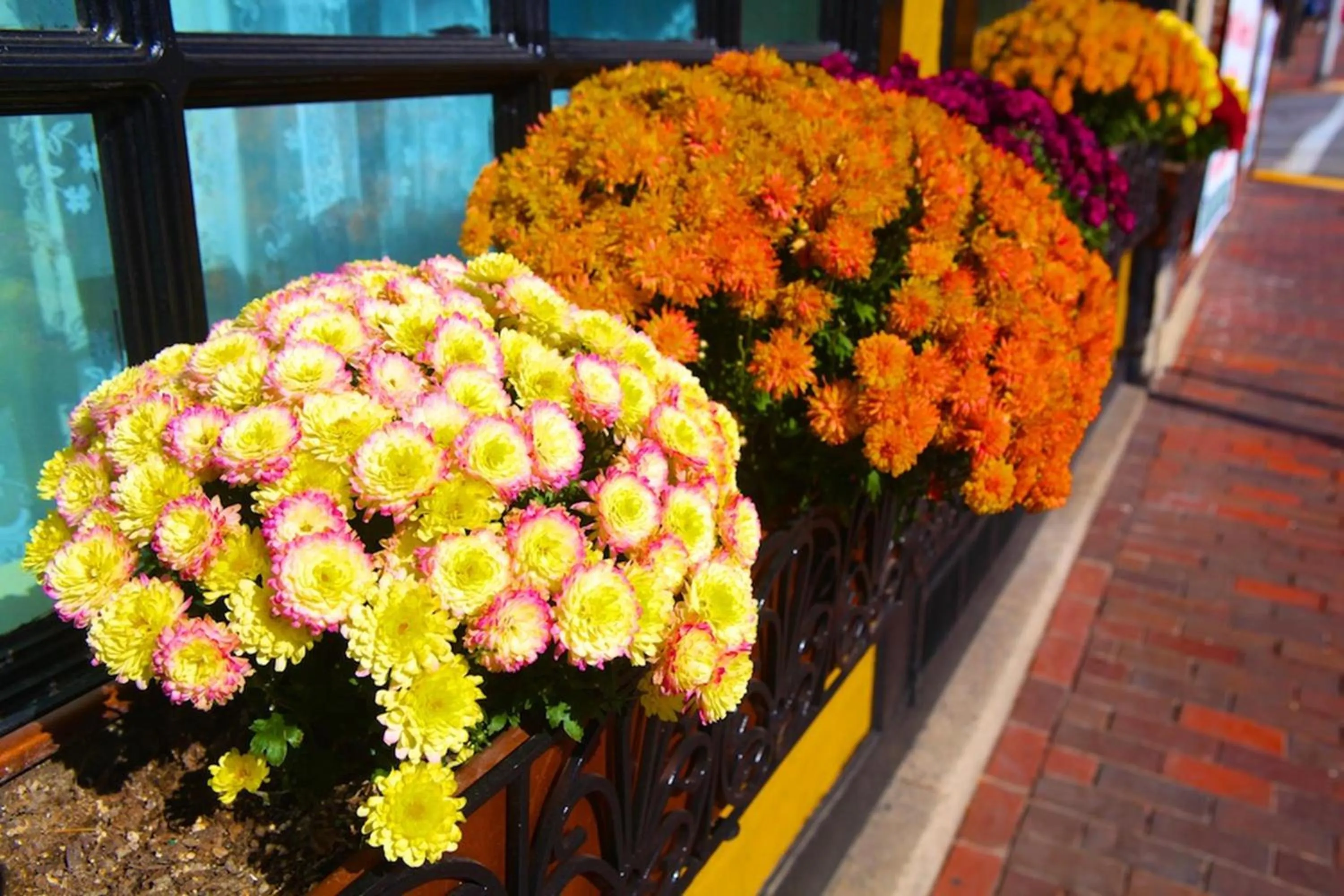 Decorative detail in Inn at St John Portland In-Town