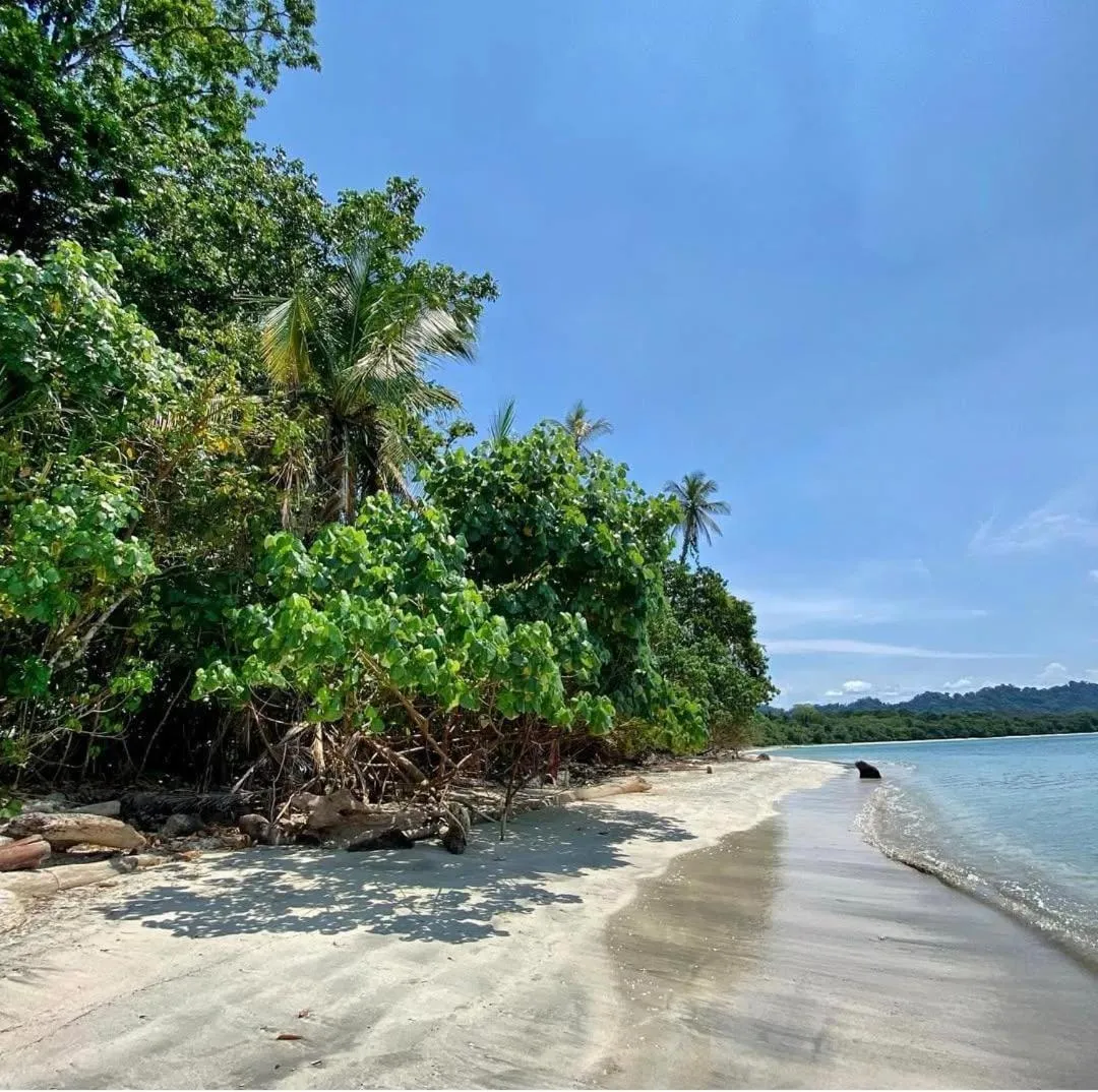 Beach in Hotel El Encanto