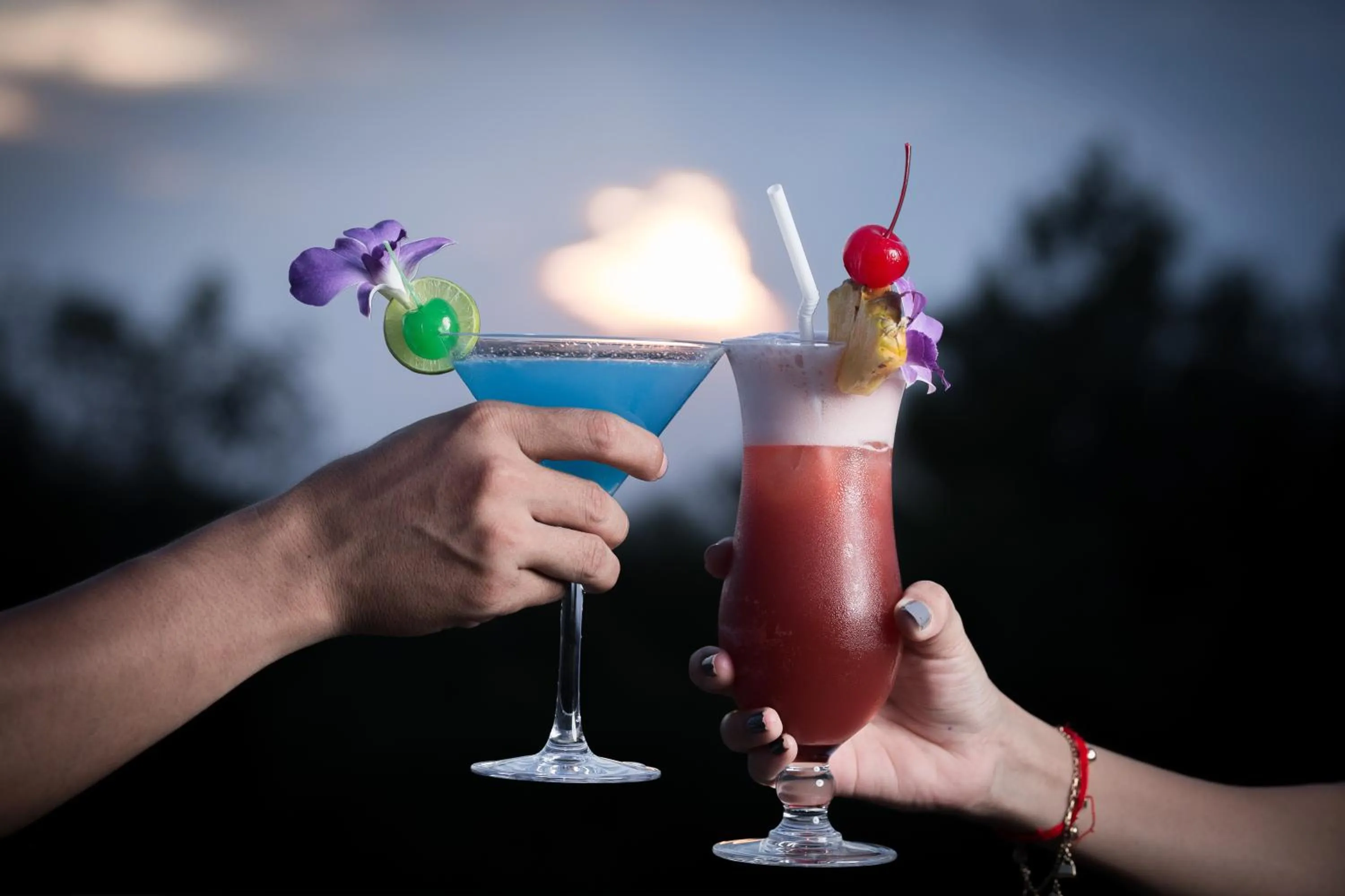 Alcoholic drinks in Nita by Vo Luxury Hotel