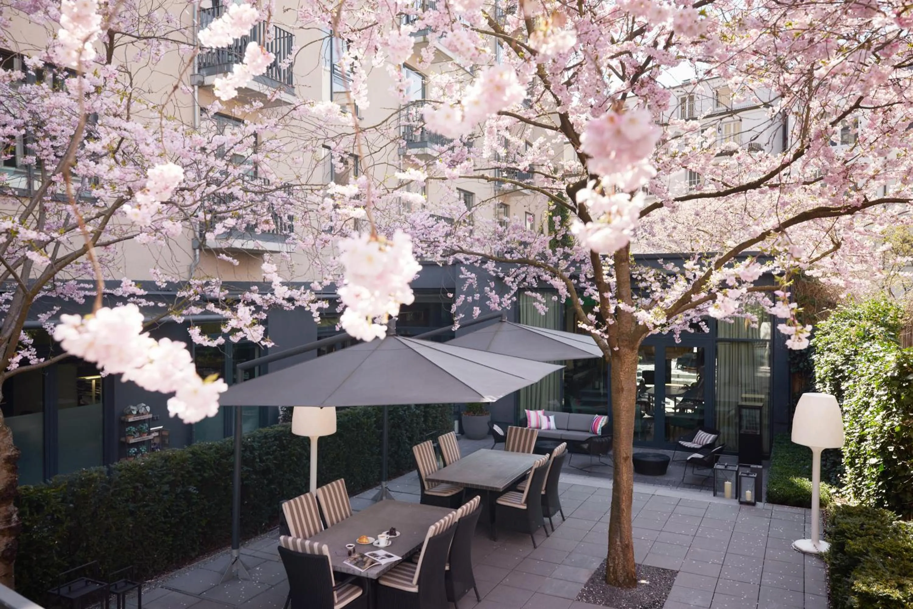 Garden in The George Hamburg