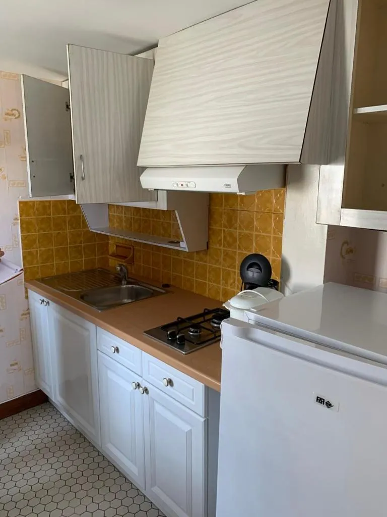 Kitchen or kitchenette in Résidence Les Milandes