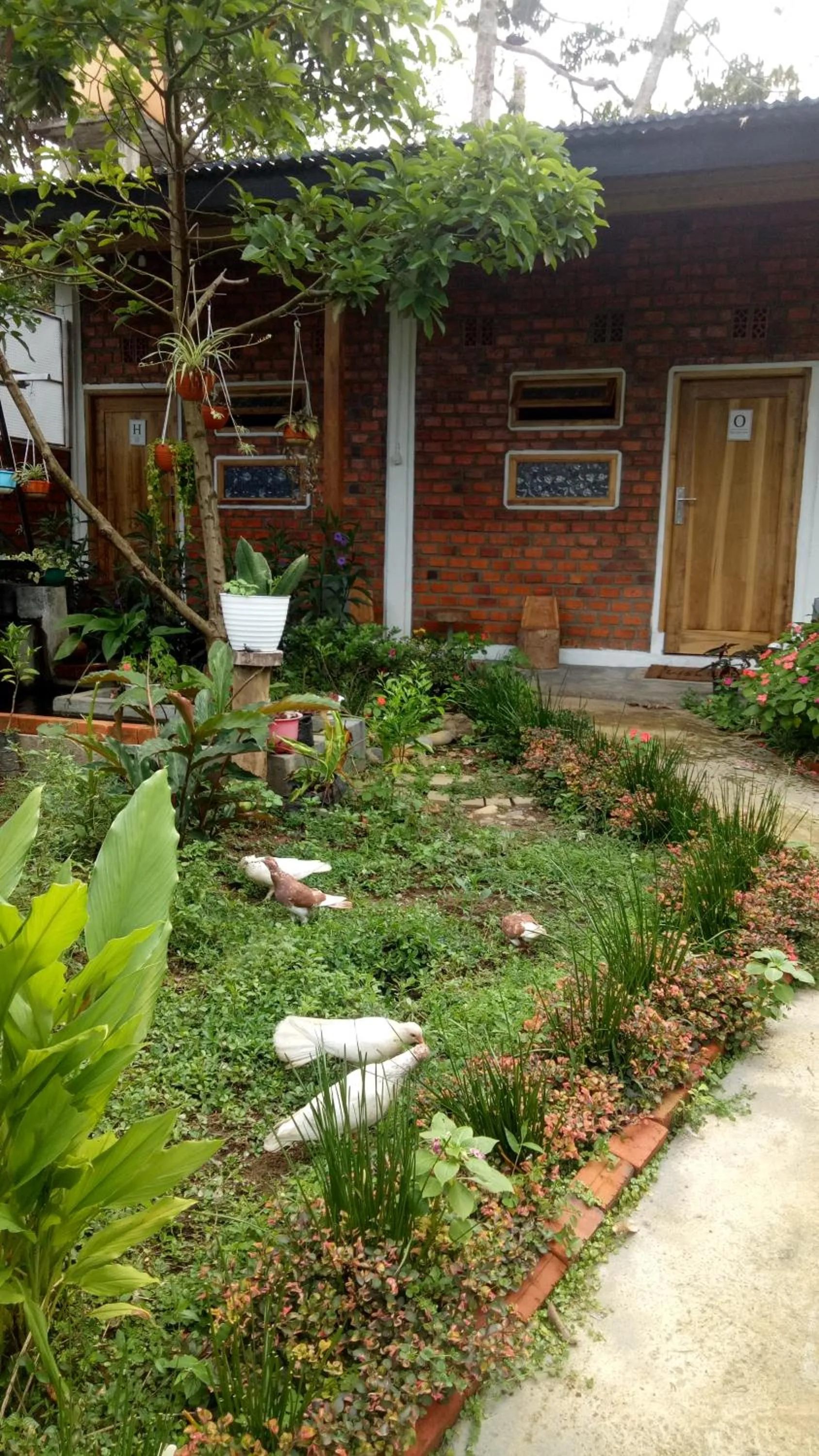 AZALEA GARDEN HOMESTAY