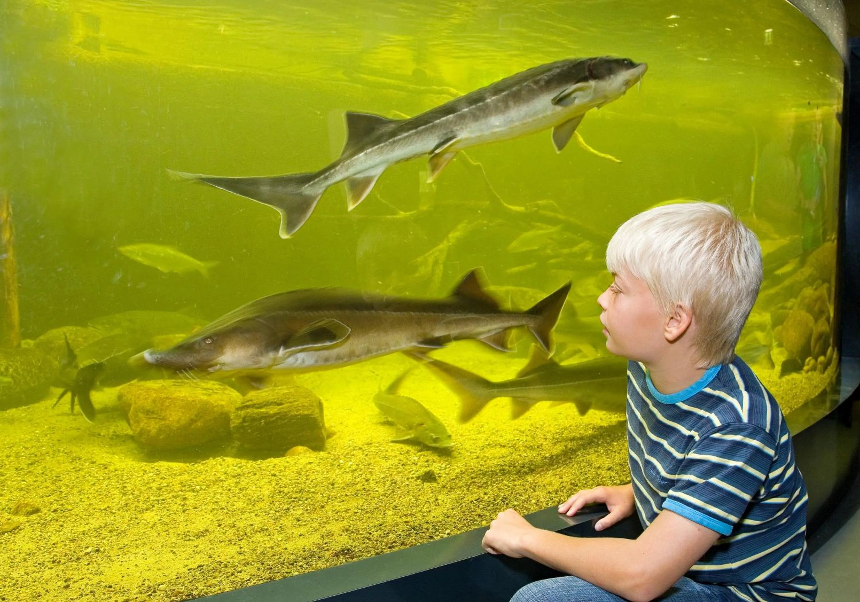 Fishing in Hotel am Müritz-Nationalpark