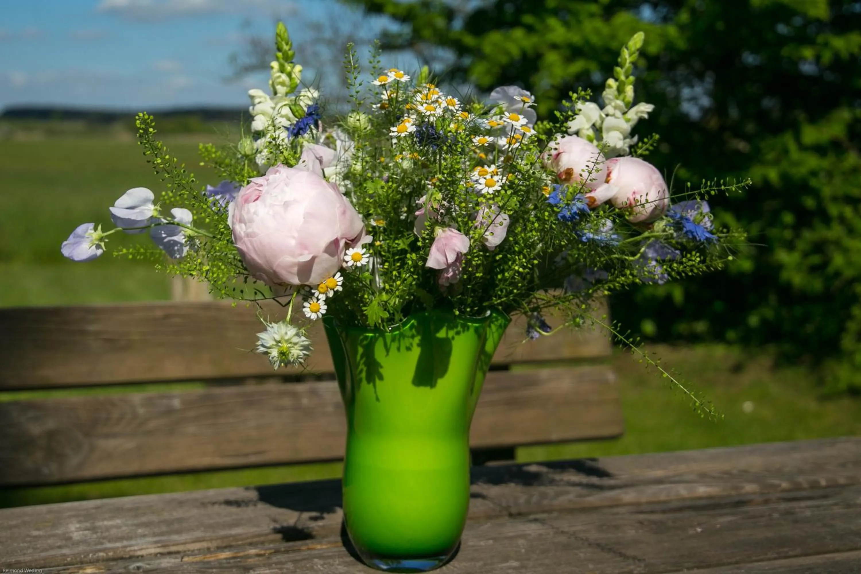 Garden in Hotel am Müritz-Nationalpark