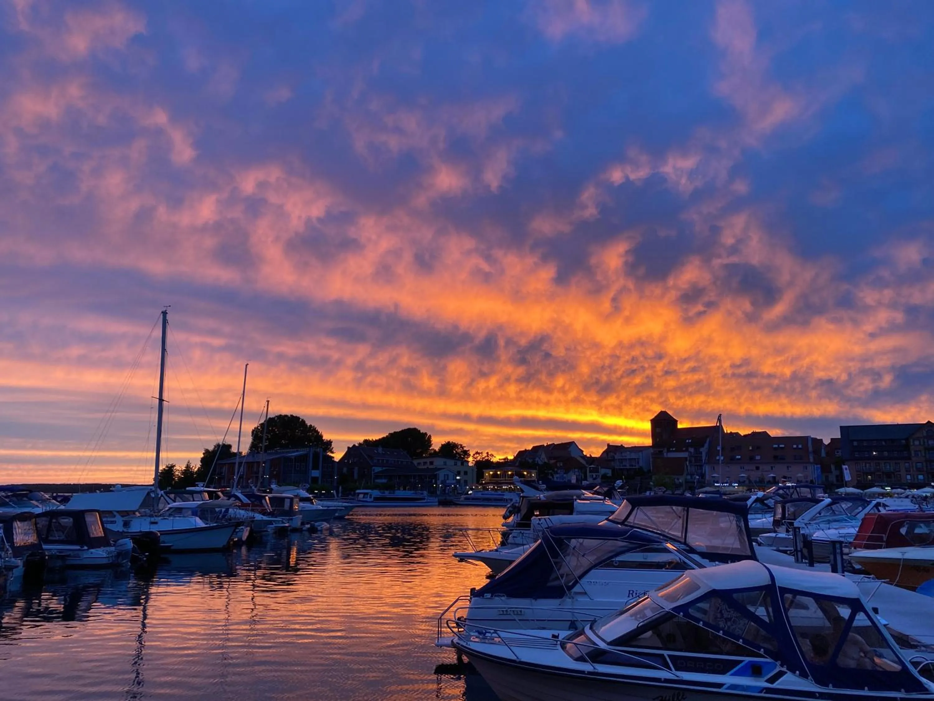 Hiking in Hotel am Müritz-Nationalpark