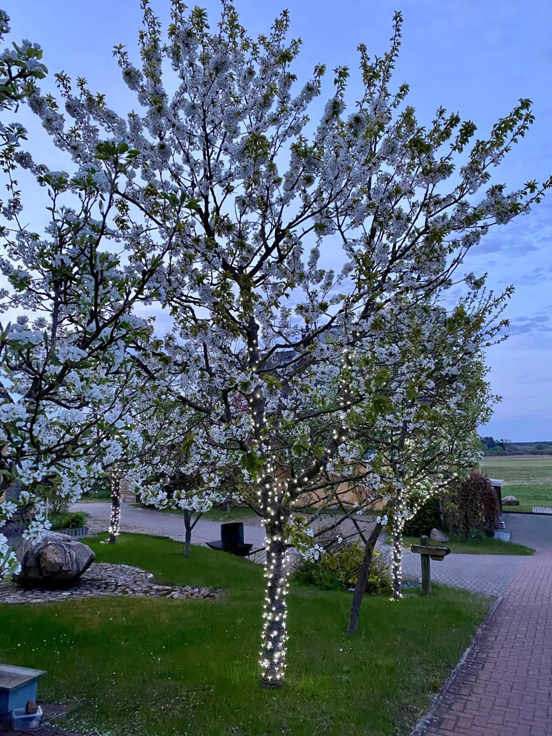 Spring in Hotel am Müritz-Nationalpark