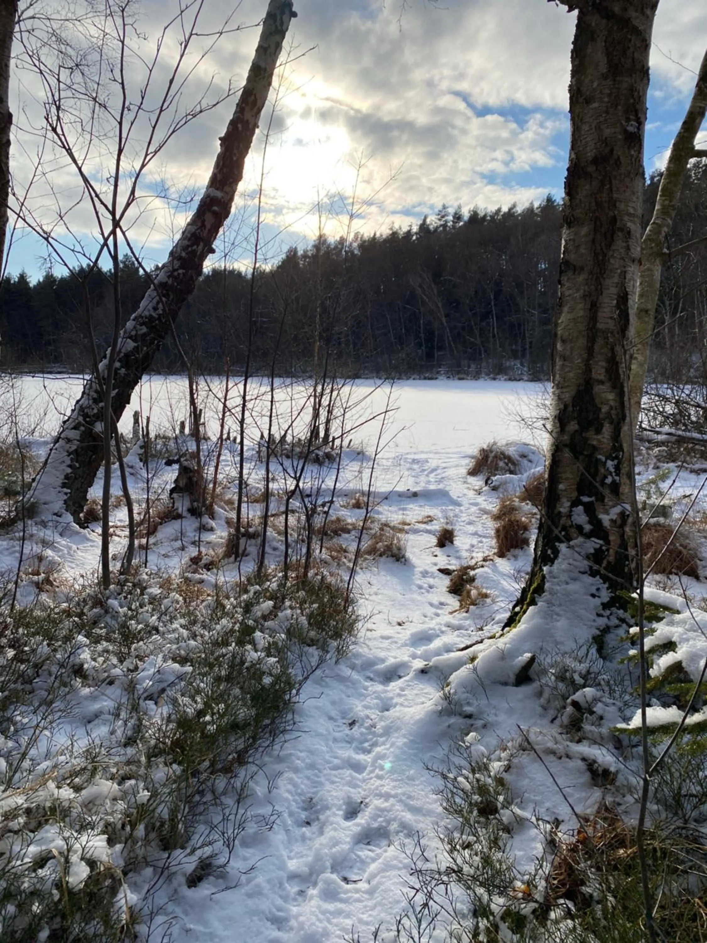 Winter in Hotel am Müritz-Nationalpark