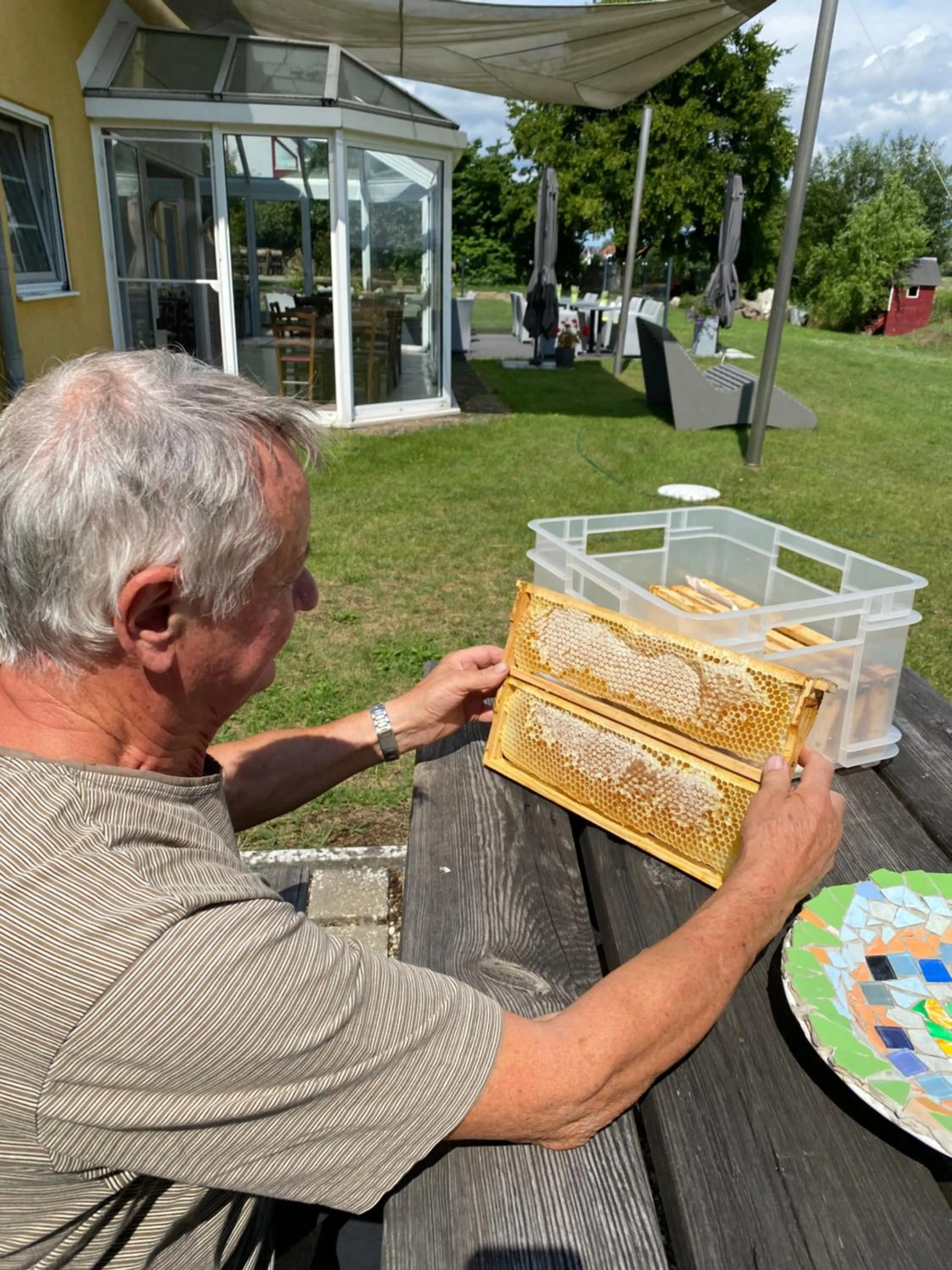 Breakfast in Hotel am Müritz-Nationalpark