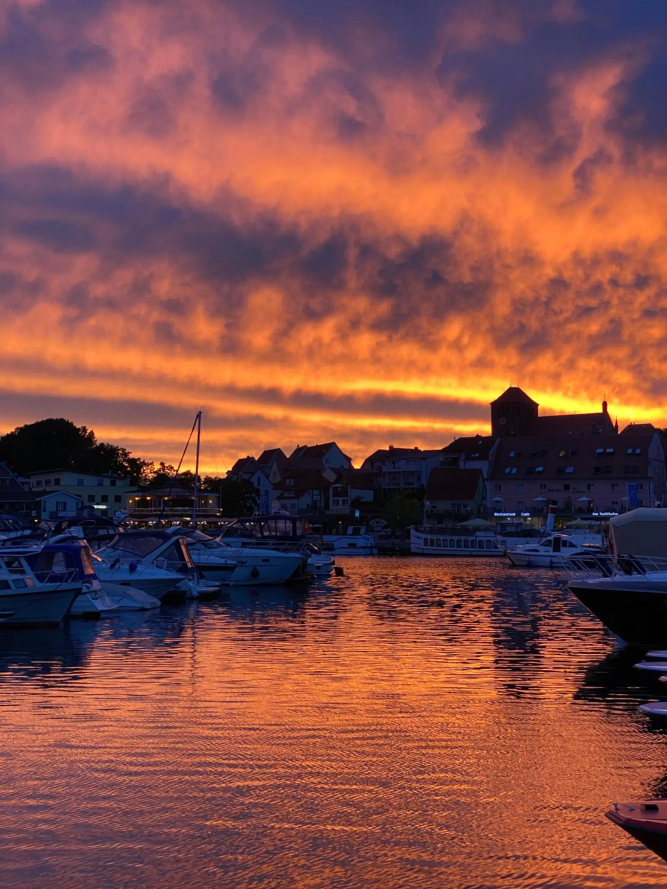 Hiking in Hotel am Müritz-Nationalpark