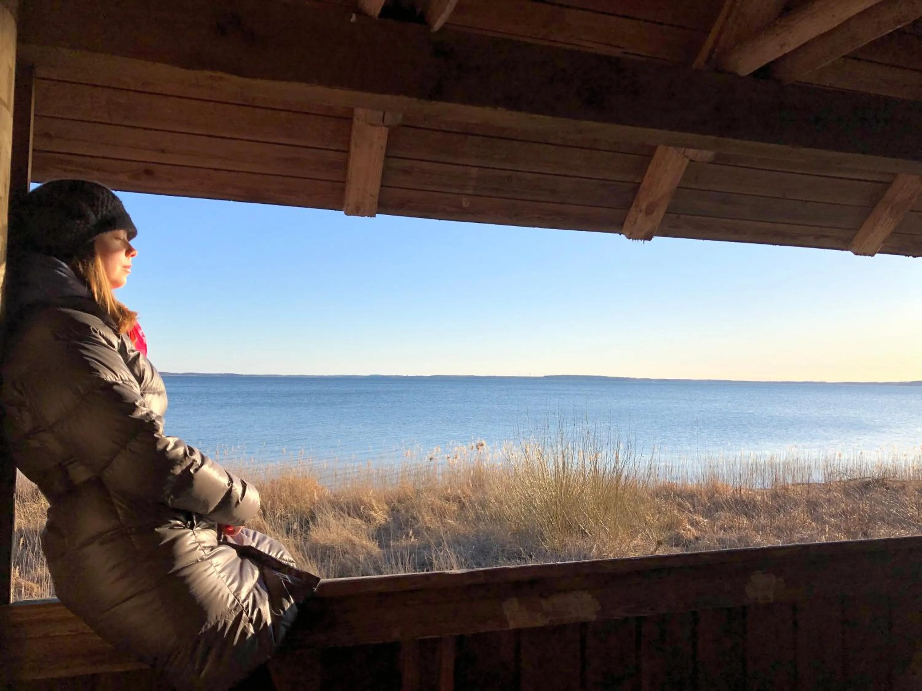 Hiking in Hotel am Müritz-Nationalpark