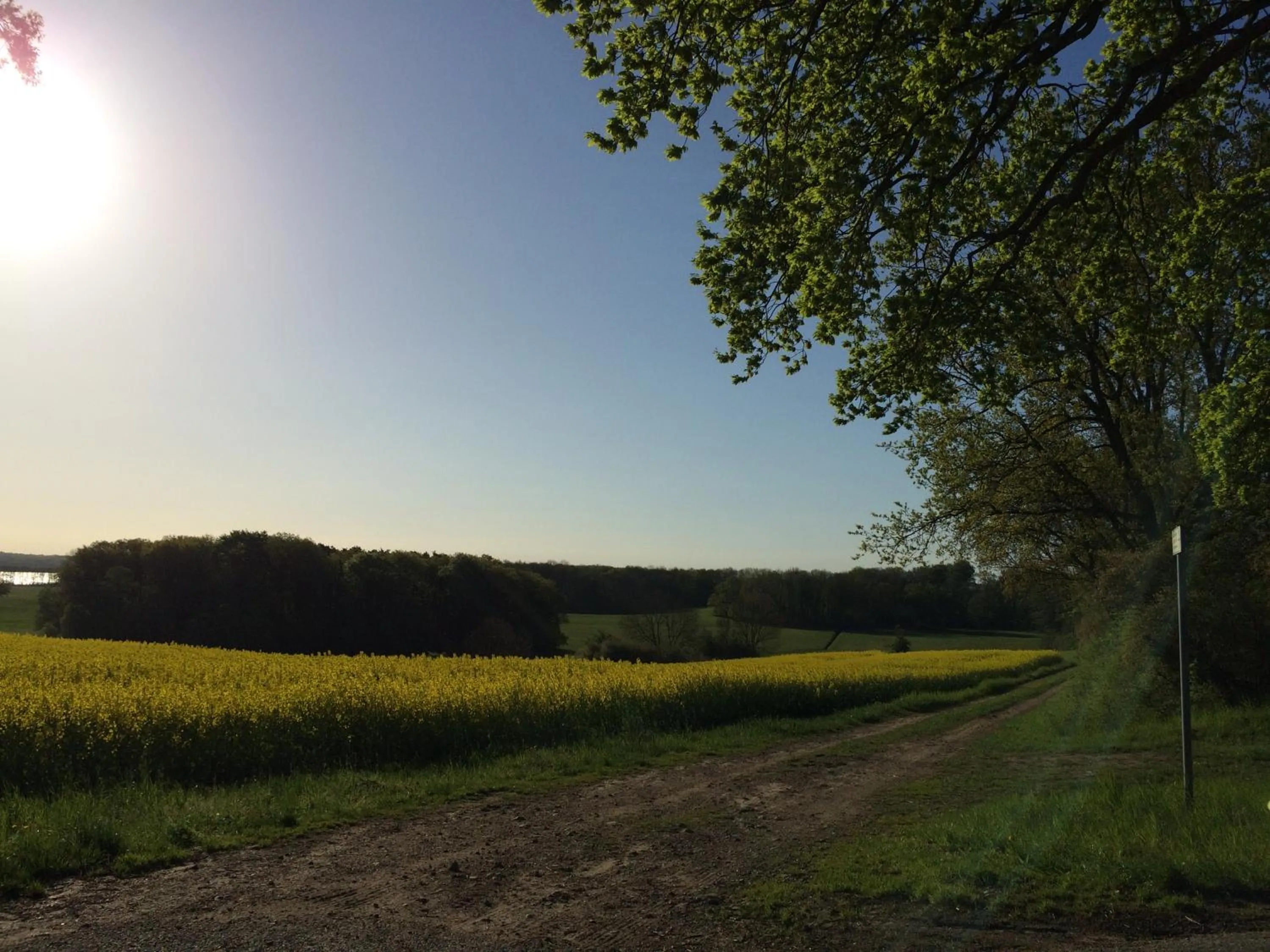 Hiking in Hotel am Müritz-Nationalpark