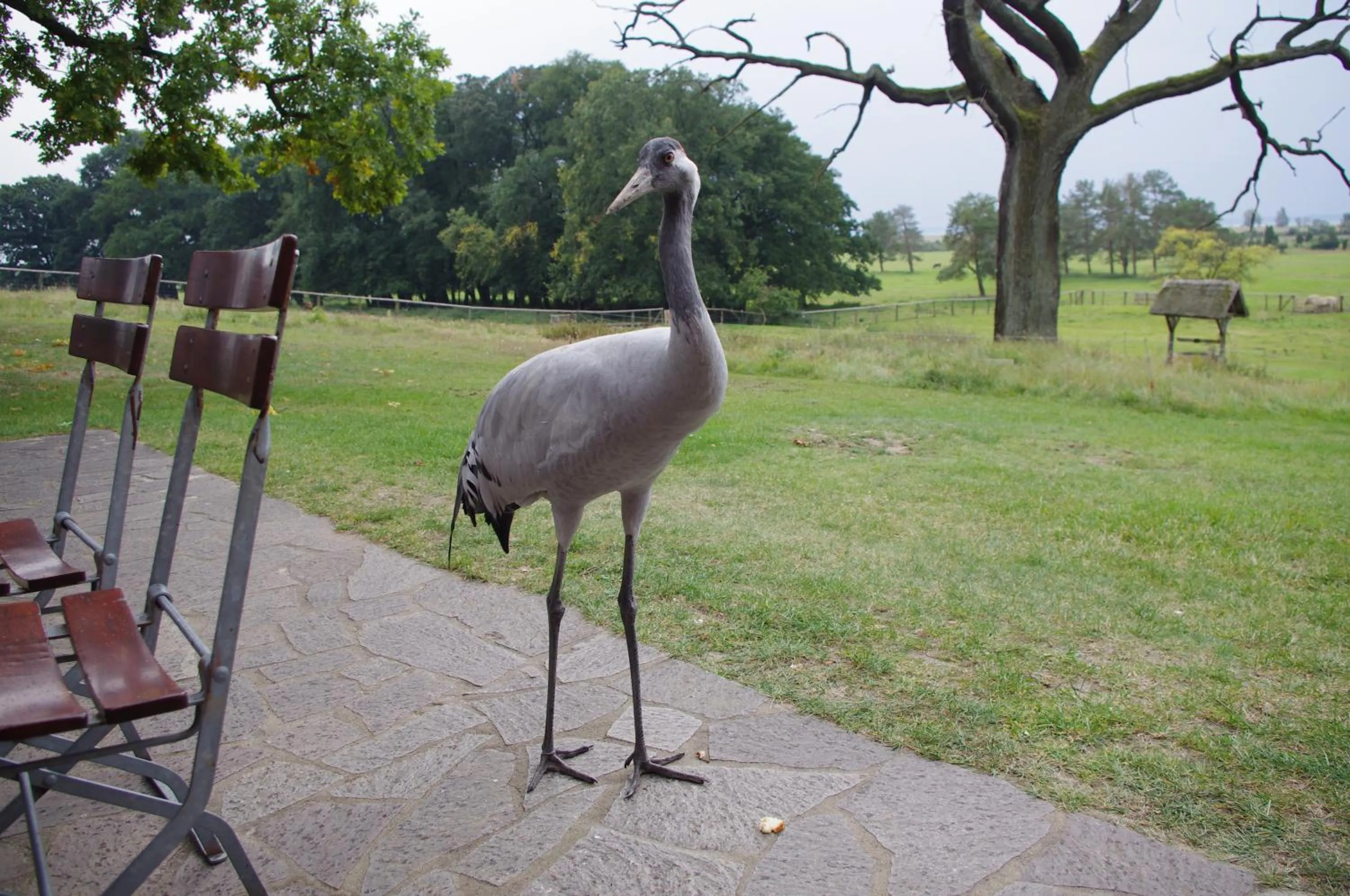 Hiking in Hotel am Müritz-Nationalpark
