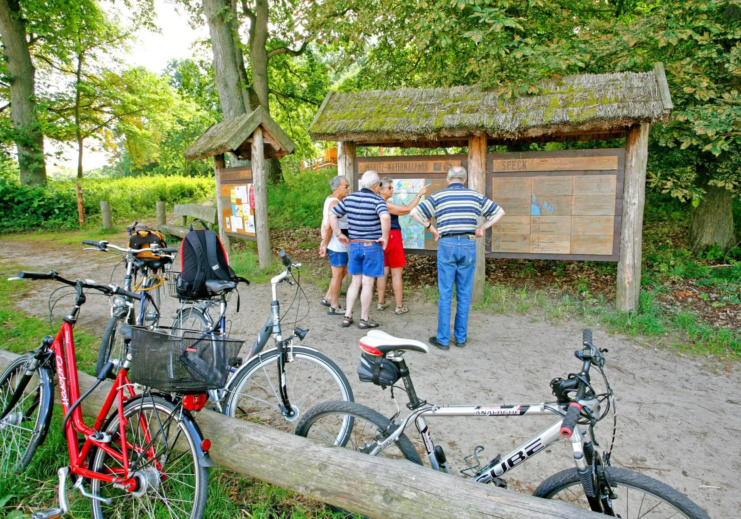 Cycling in Hotel am Müritz-Nationalpark