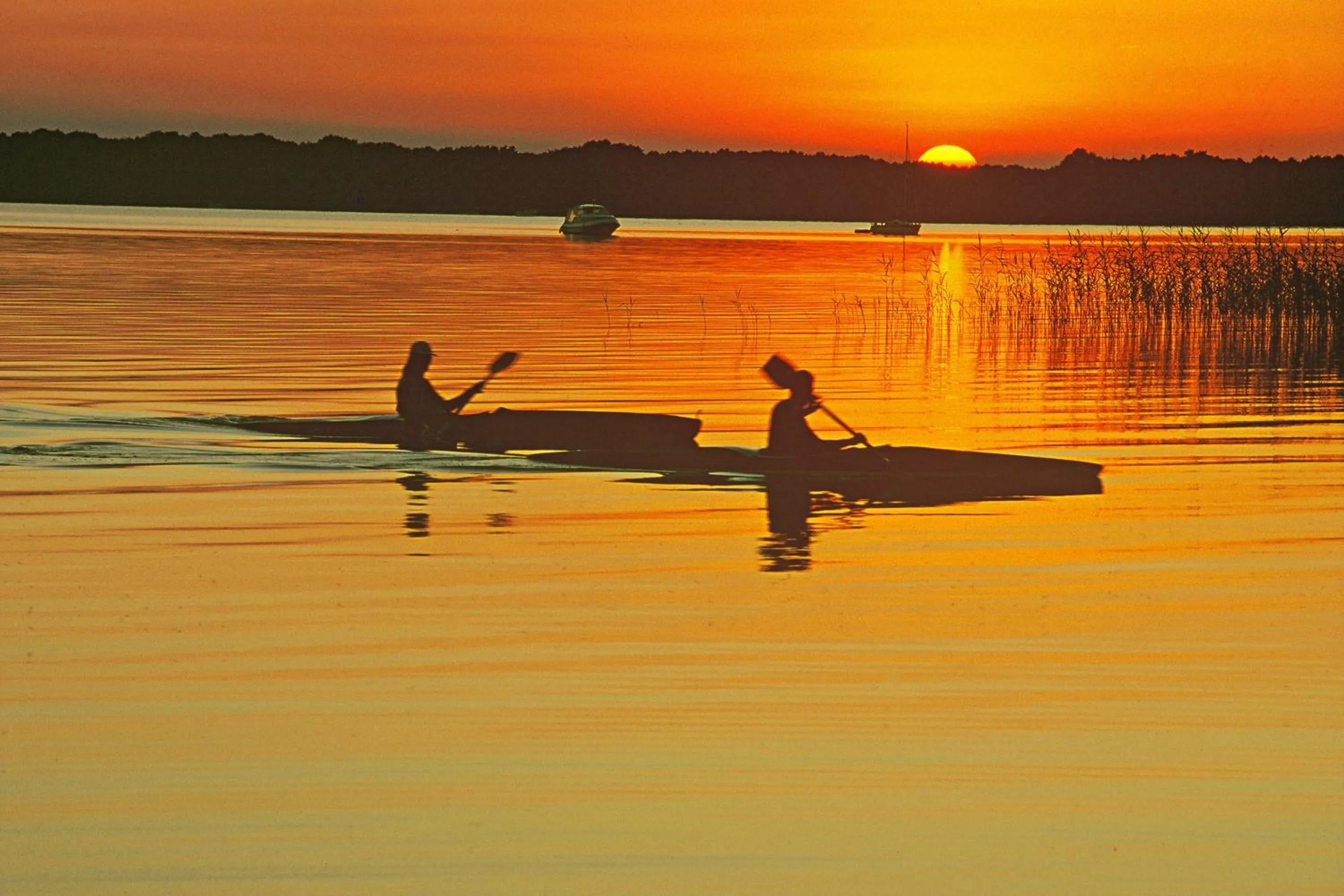  in Hotel am Müritz-Nationalpark