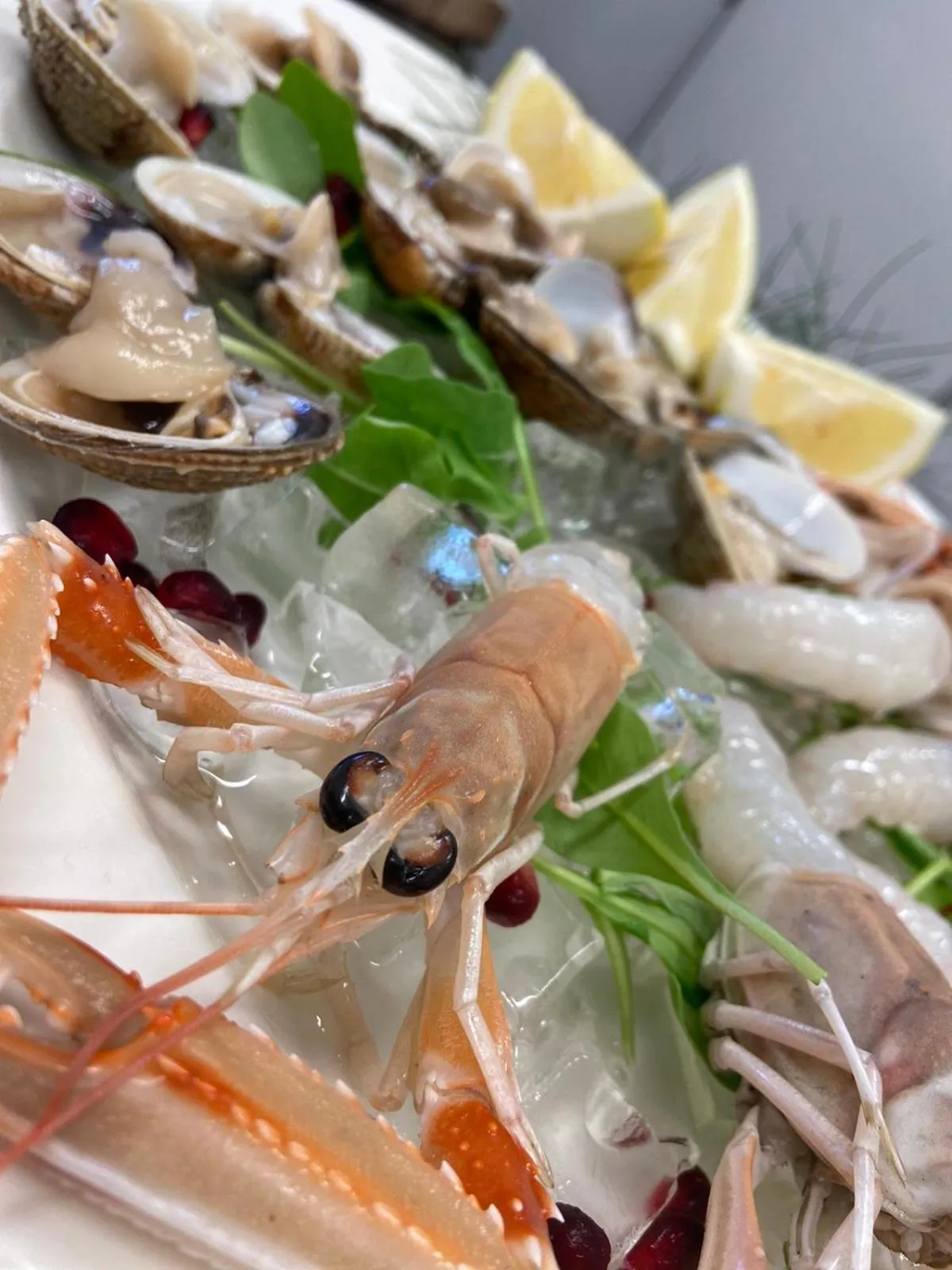 Restaurant/places to eat in Vila ROBIDA & SPA