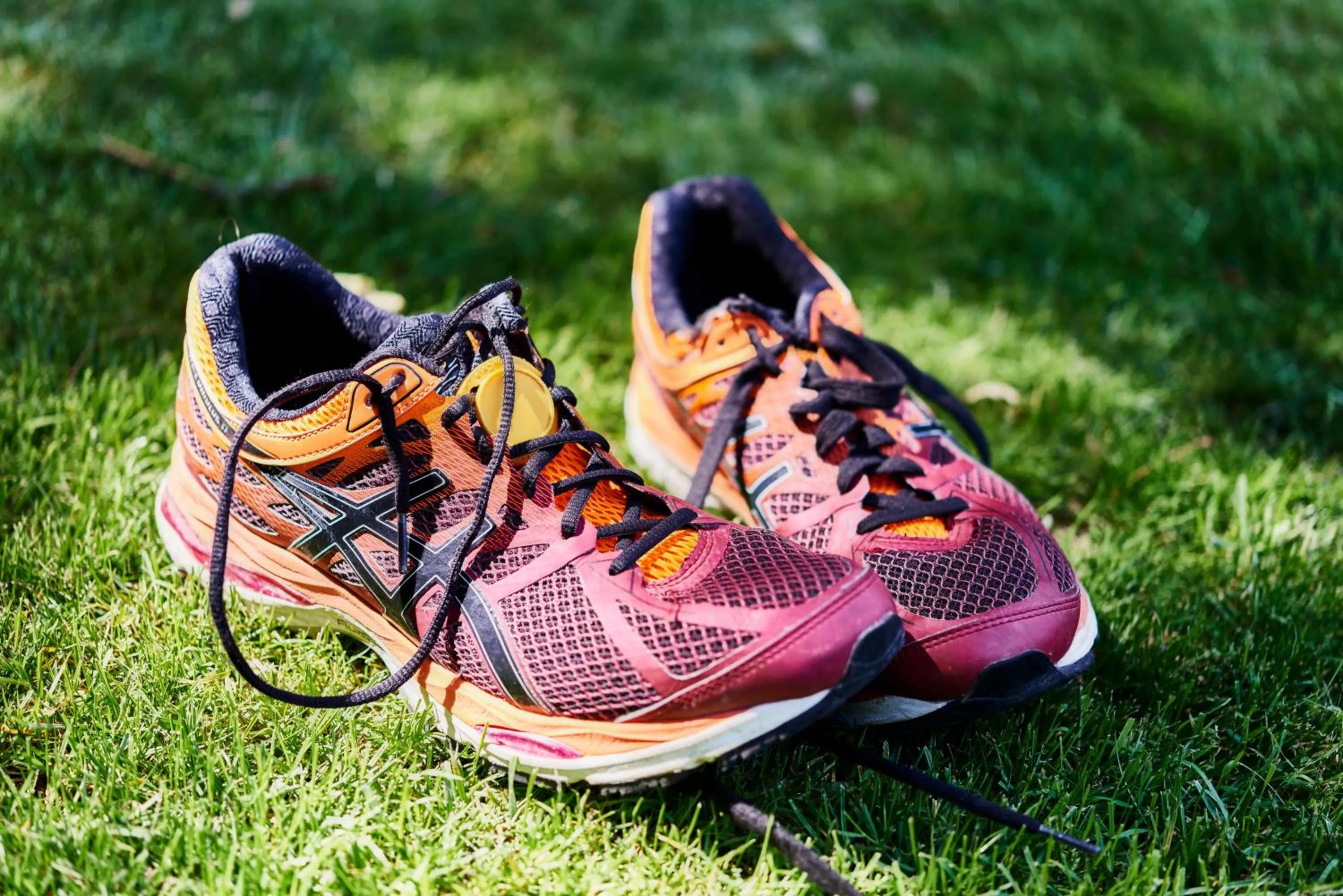 Sports in Waldhotel Sulzbachtal