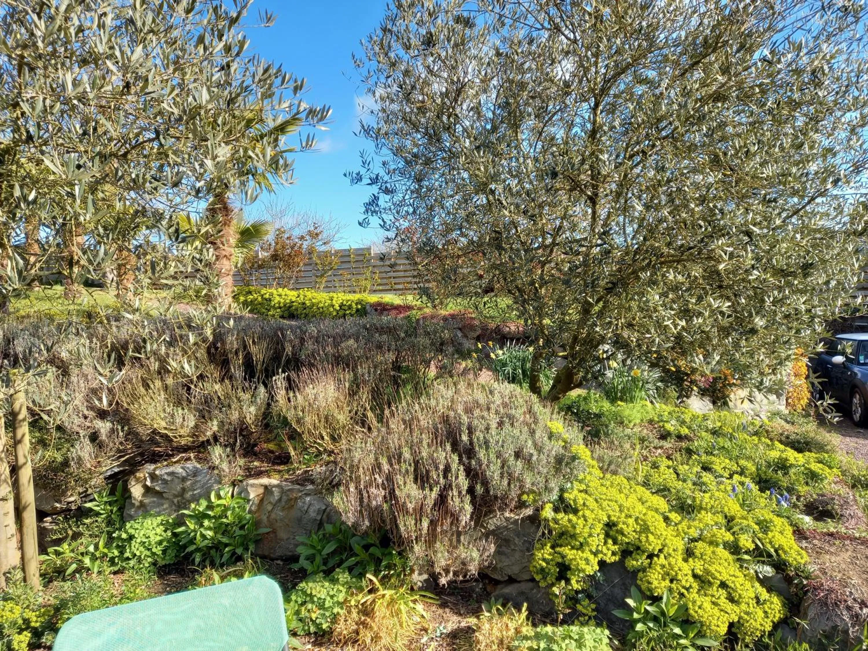 Garden in Havre de paix et jardin tropical. Chambre privée