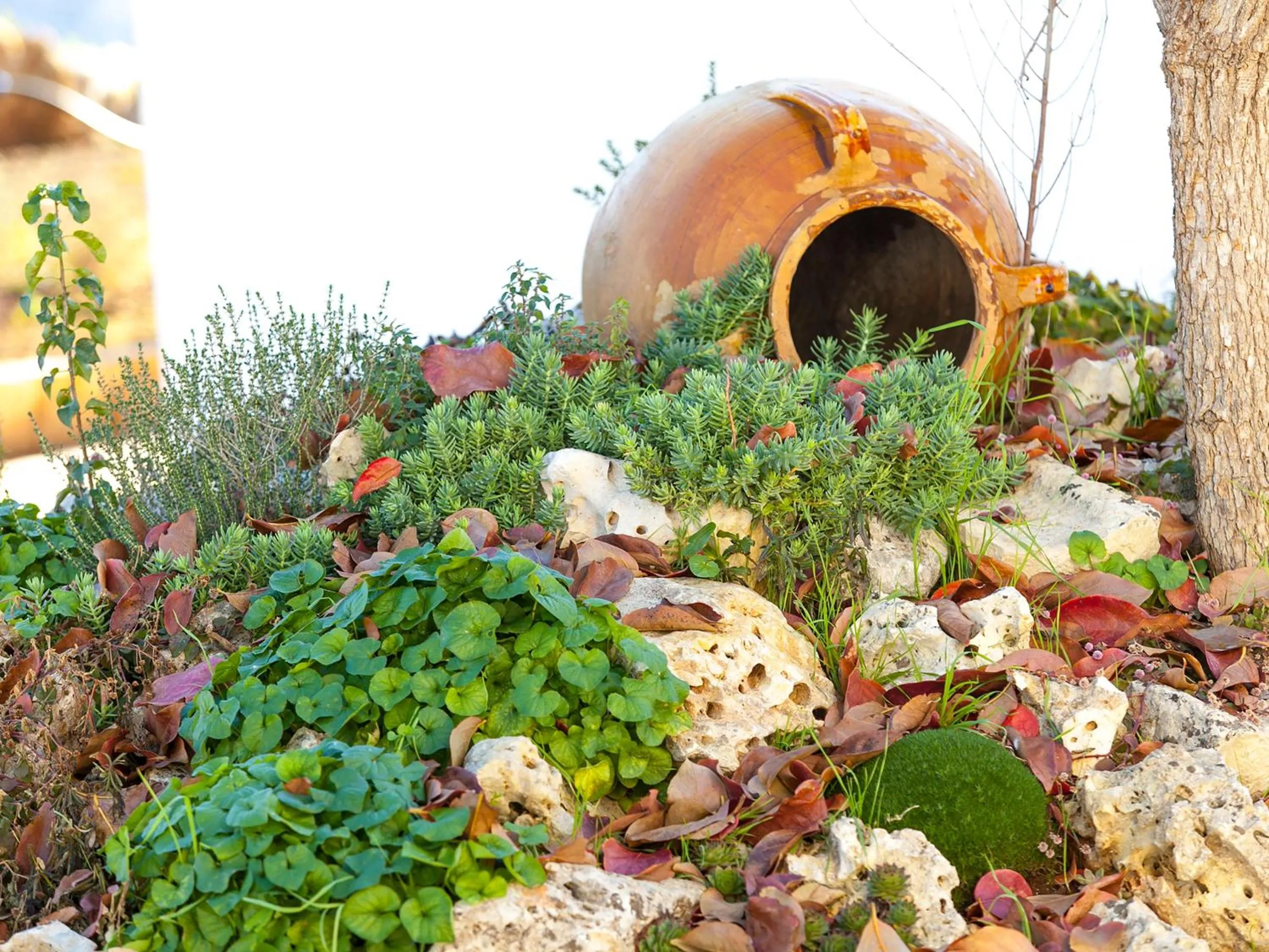 Decorative detail in Coppola di Seta