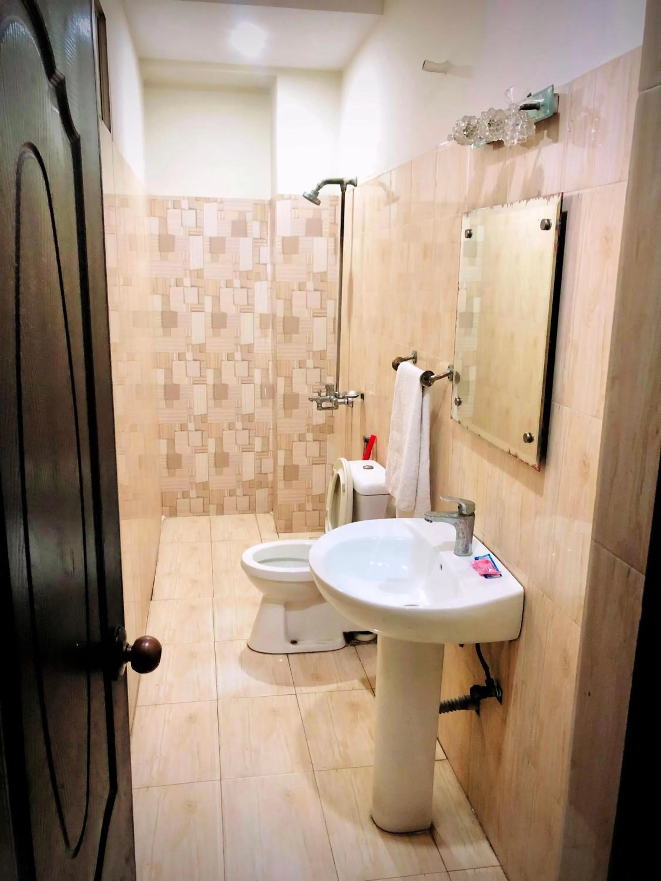 Shower in Hotel Tulip Inn