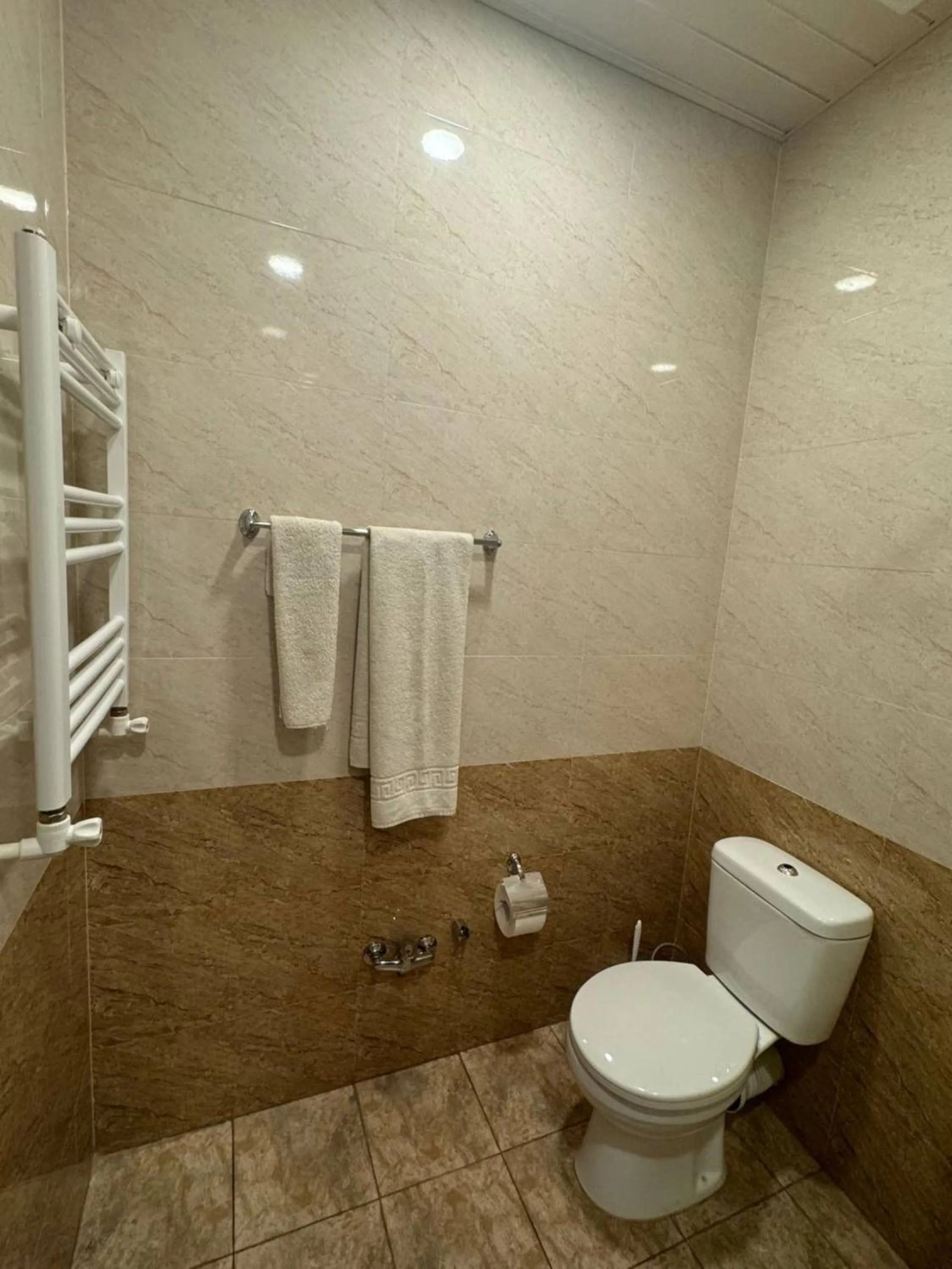 Toilet in Menua by Horizon Hotels, Yerevan