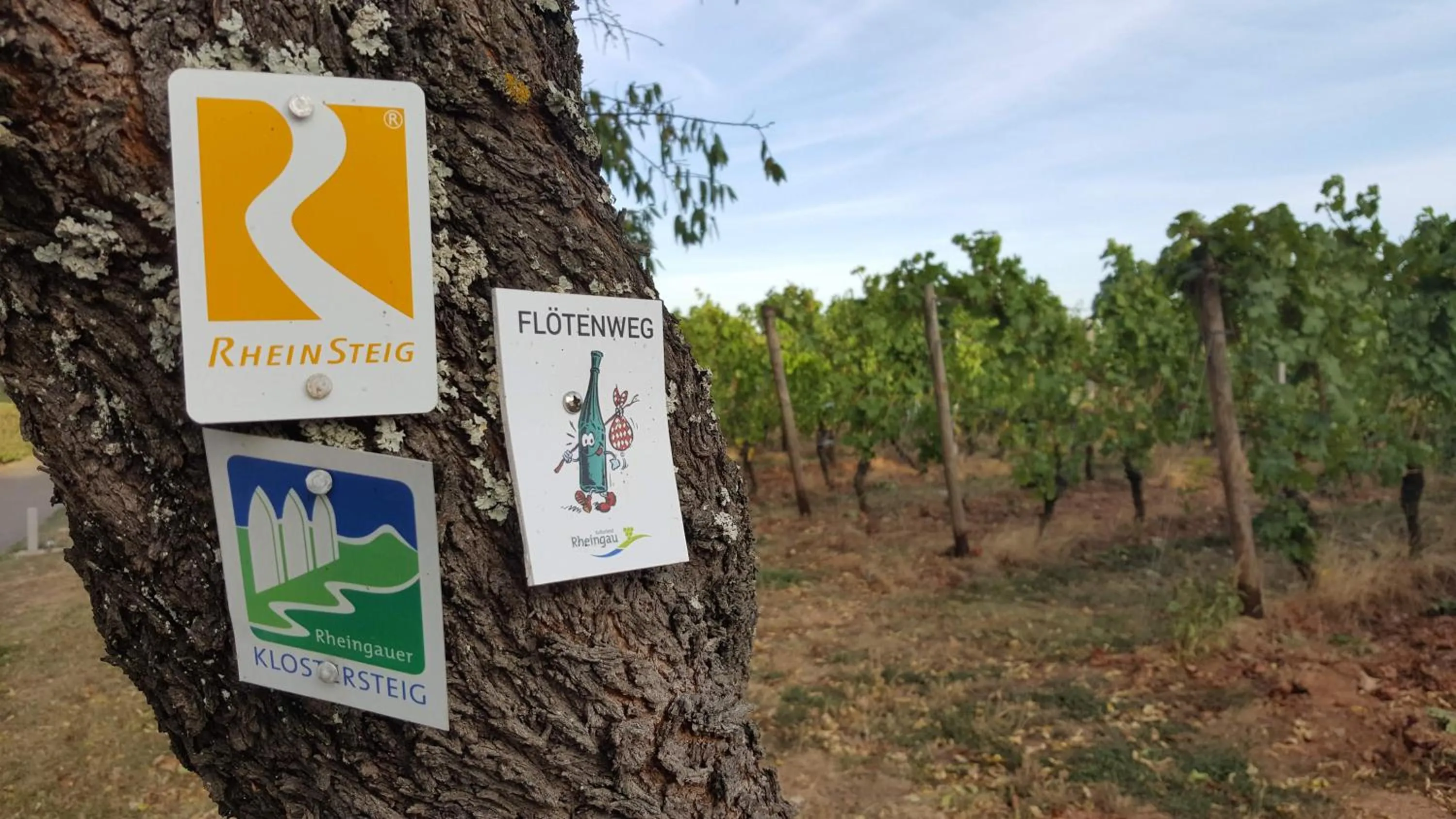 Nearby landmark in RUTHMANN-Rheinblick GARNI