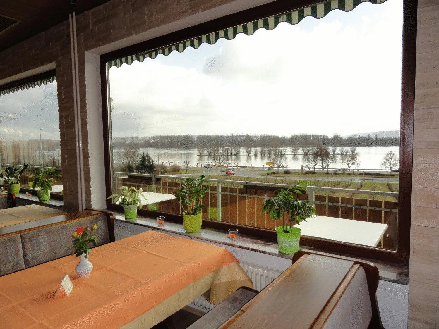 View (from property/room) in RUTHMANN-Rheinblick GARNI