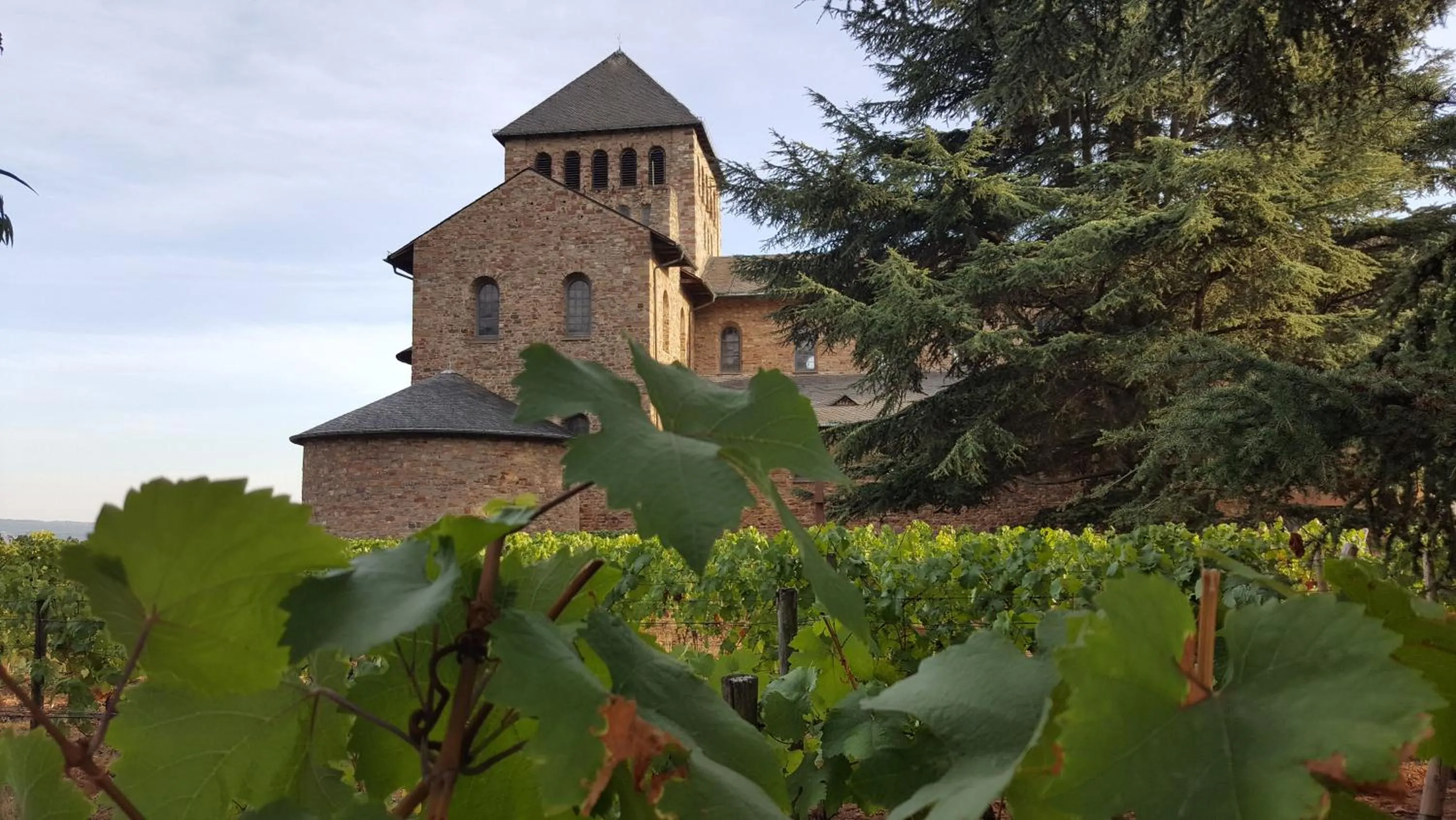 Nearby landmark in RUTHMANN-Rheinblick GARNI