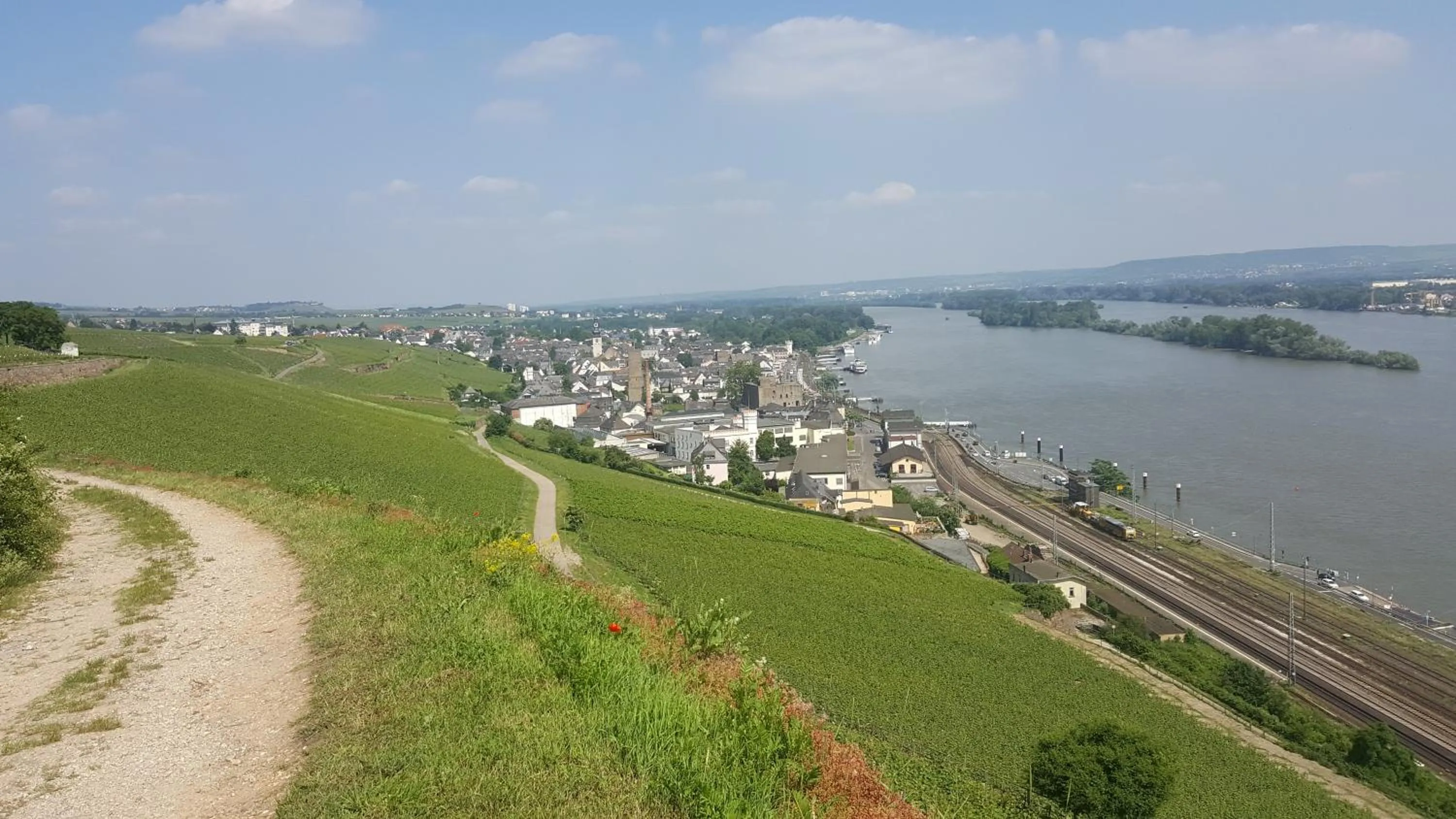 Hiking in RUTHMANN-Rheinblick GARNI
