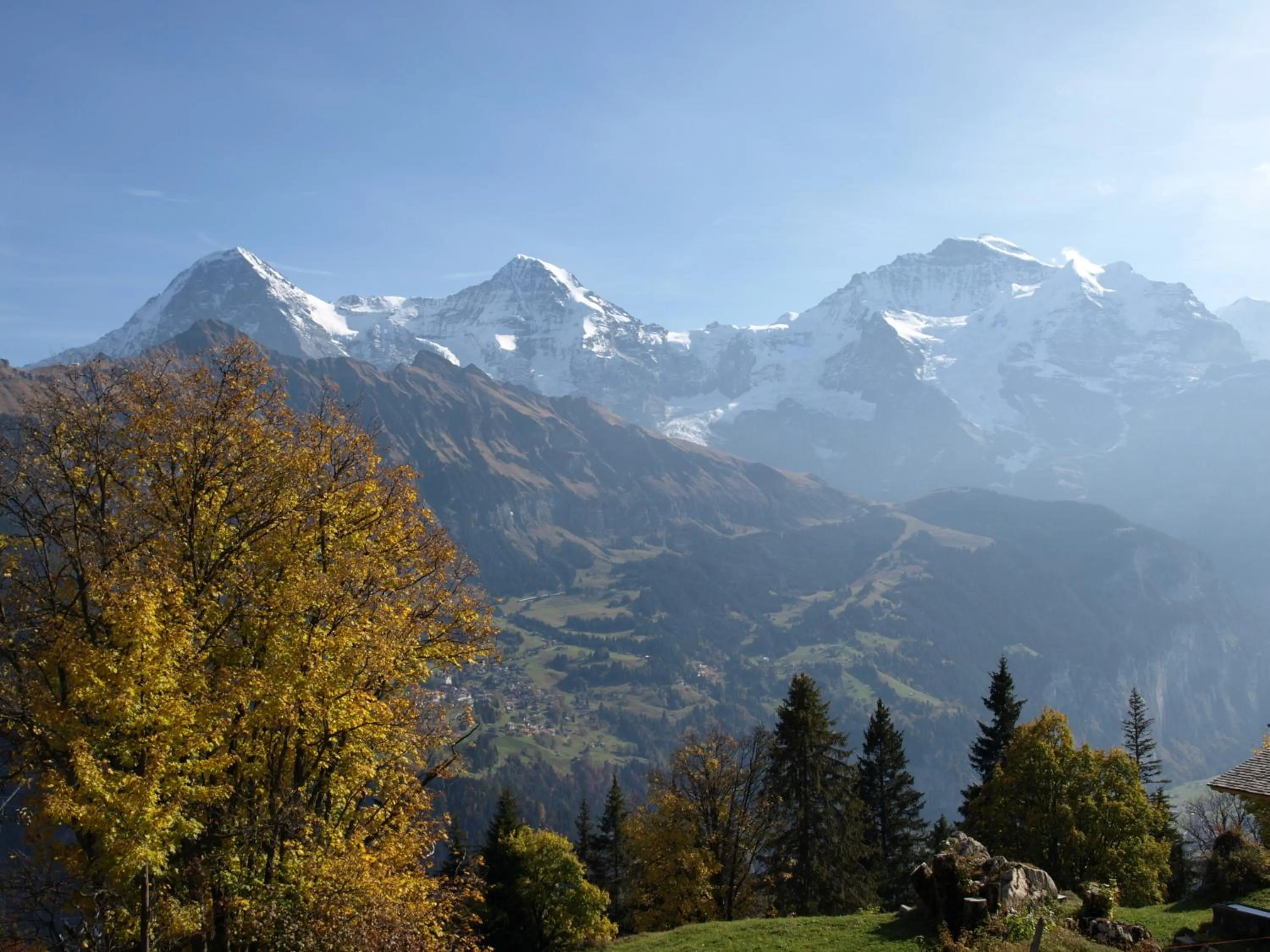 Summer in Hotel Bel-Air Eden