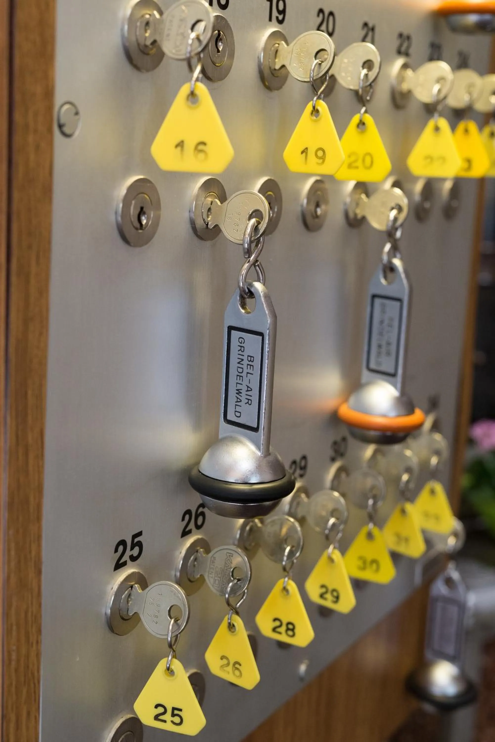 Area and facilities in Hotel Bel-Air Eden