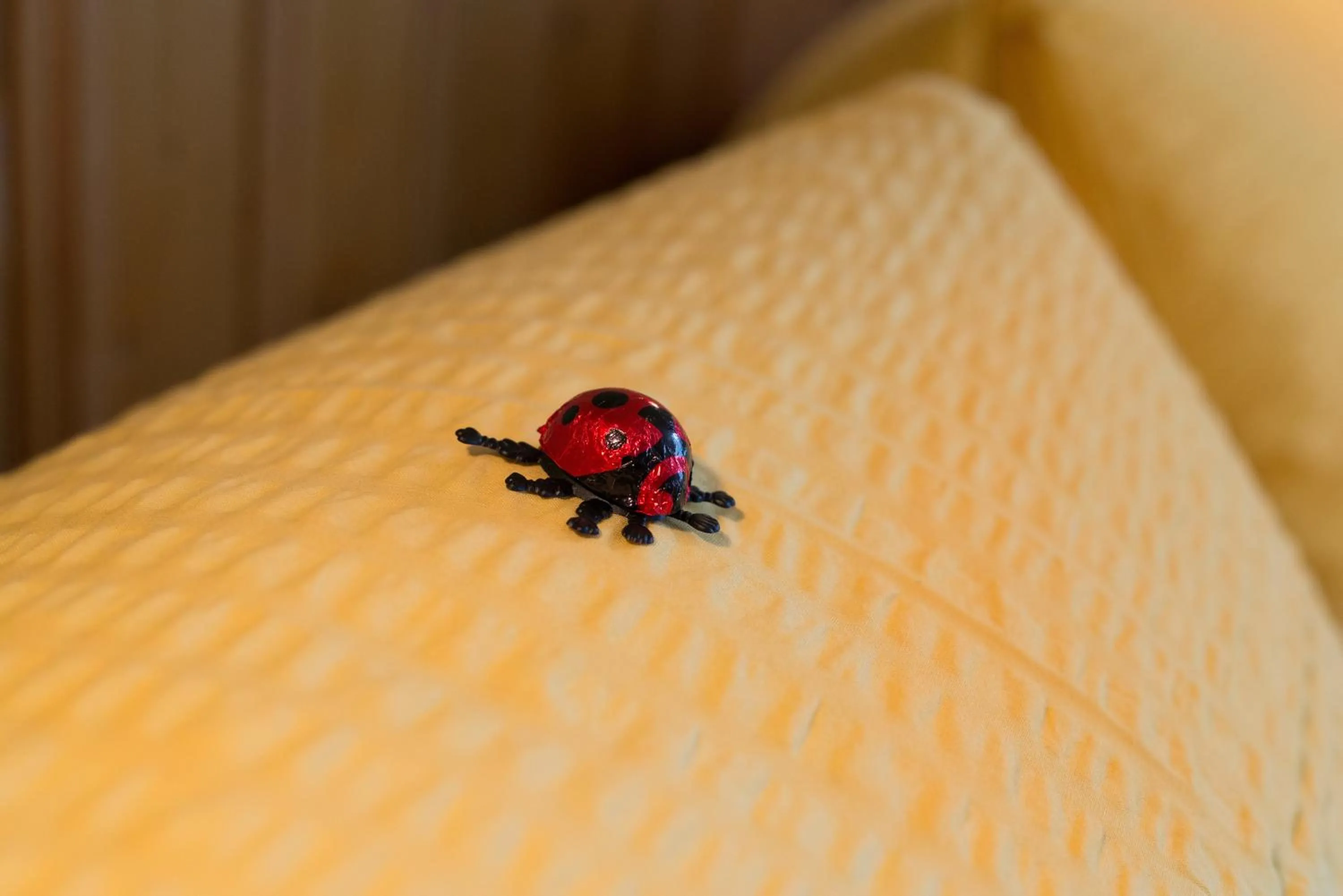 Decorative detail in Hotel Bel-Air Eden