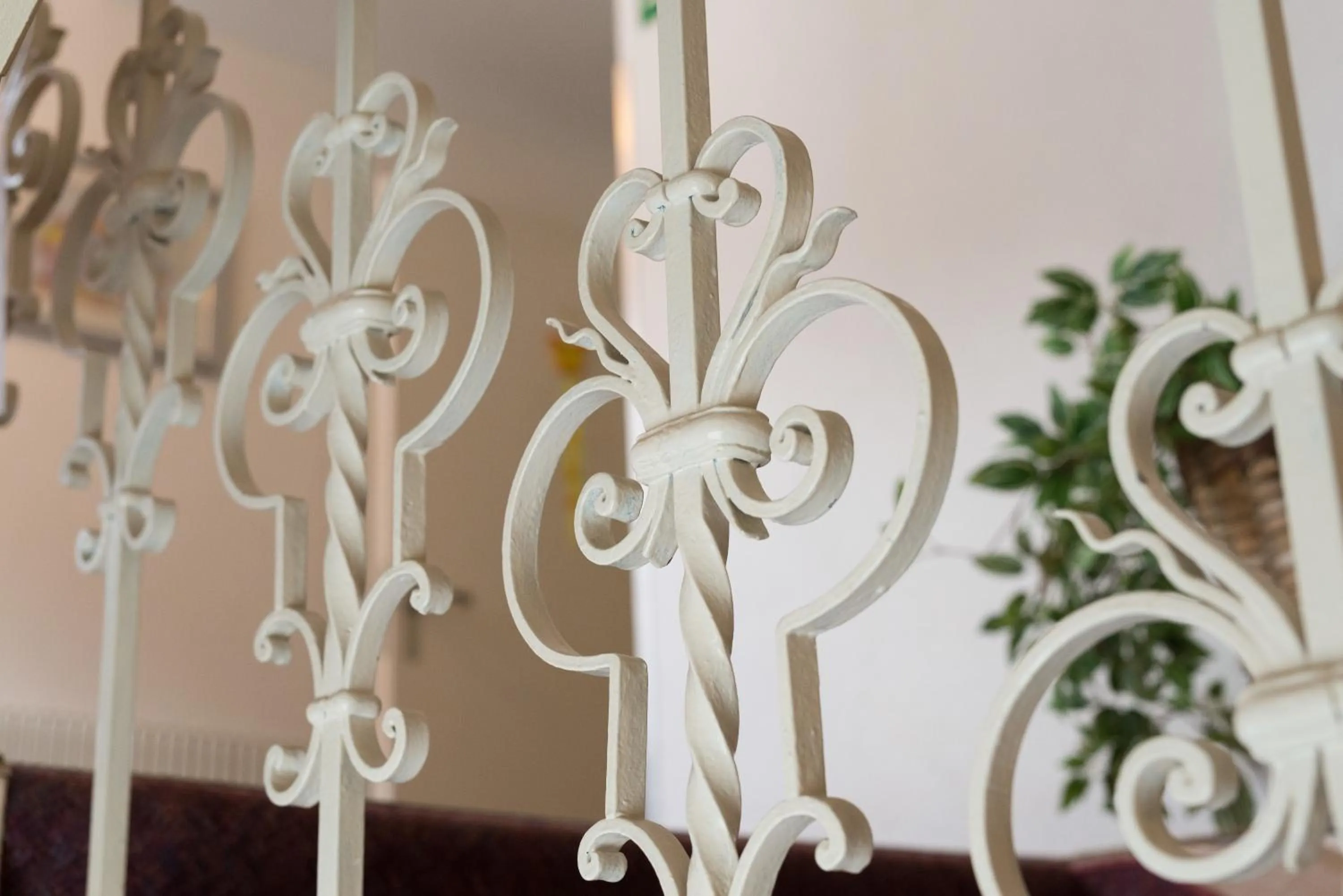 Area and facilities in Hotel Bel-Air Eden