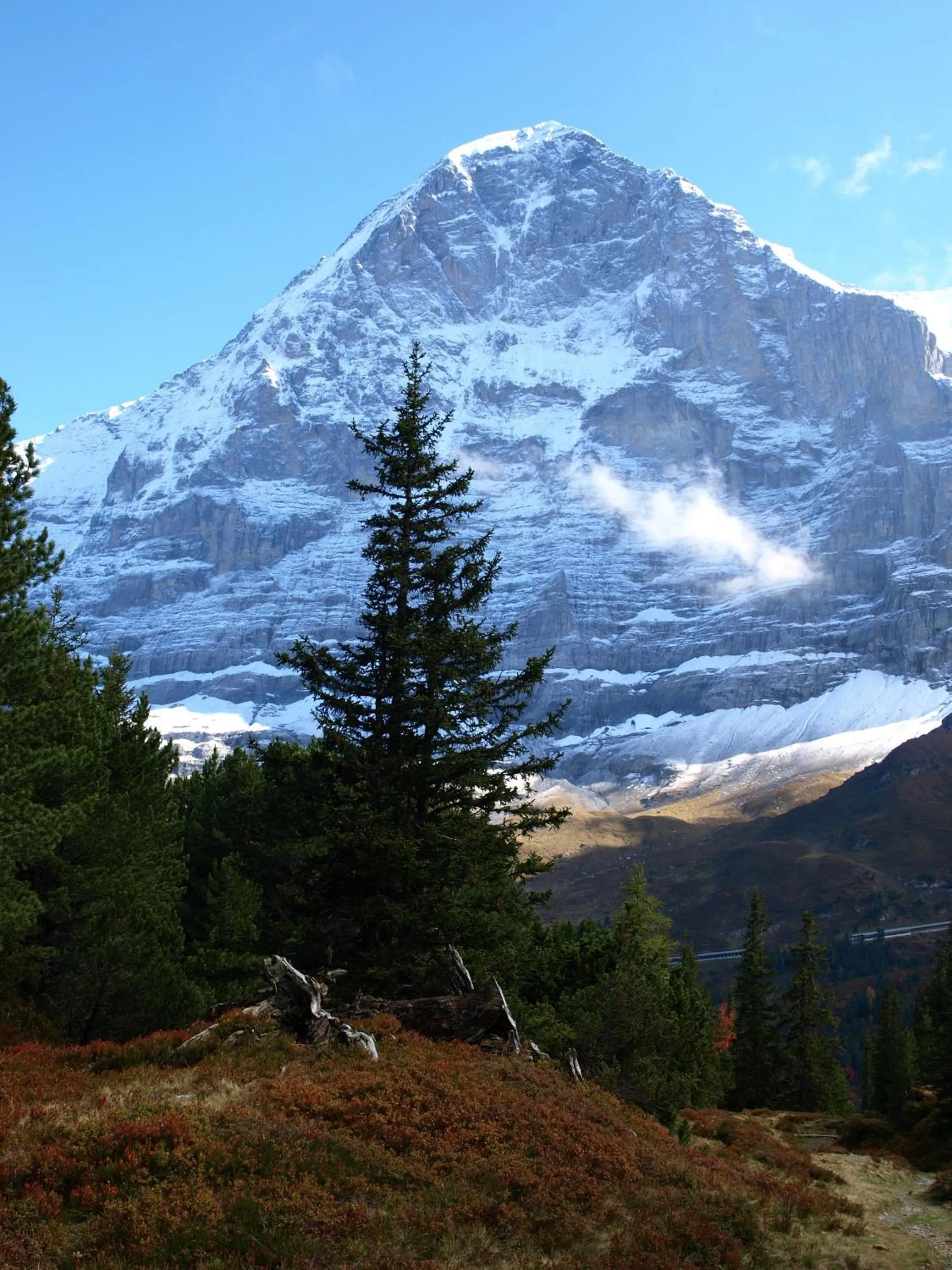 Summer in Hotel Bel-Air Eden