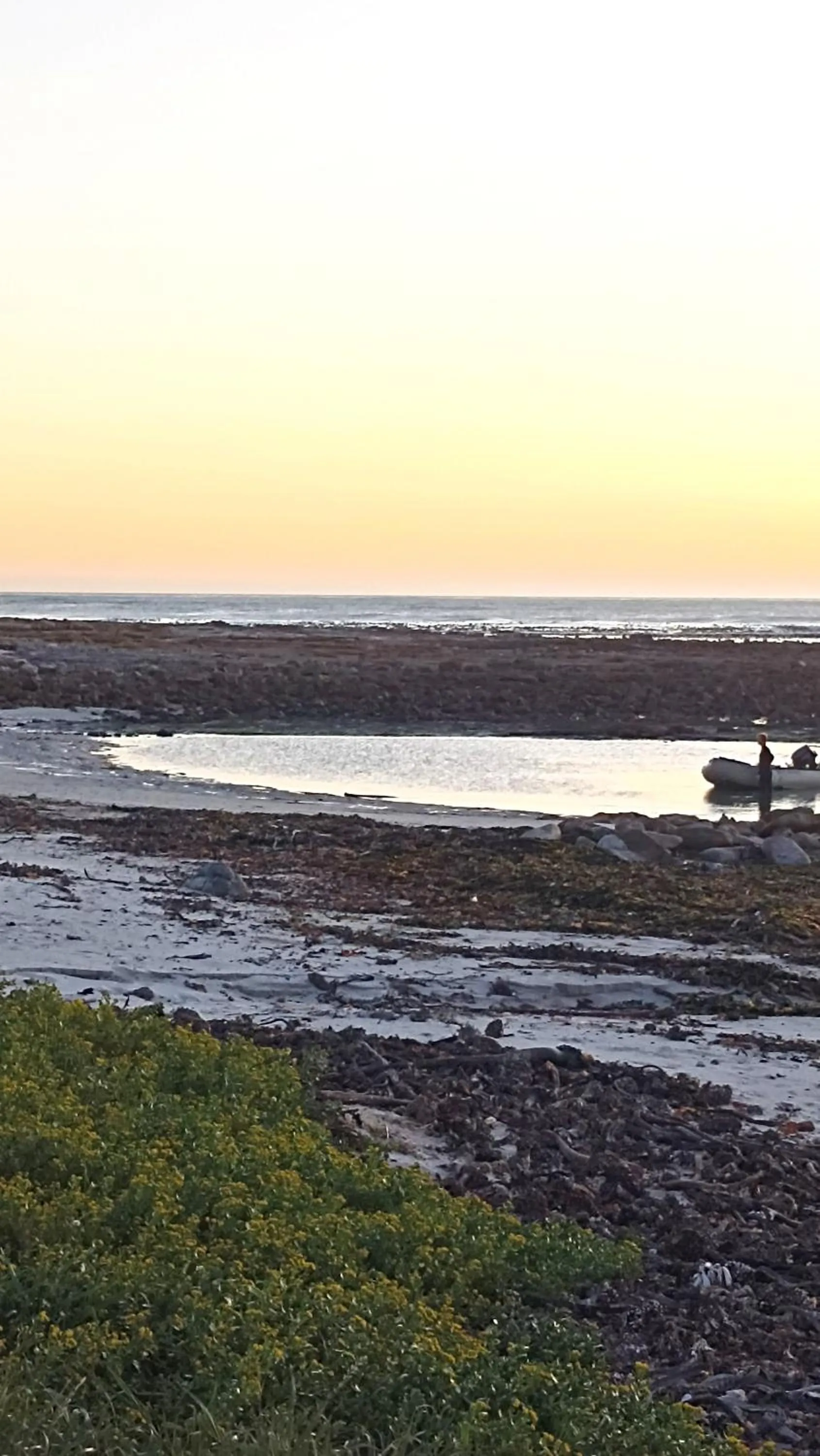 Natural landscape in The Retreat