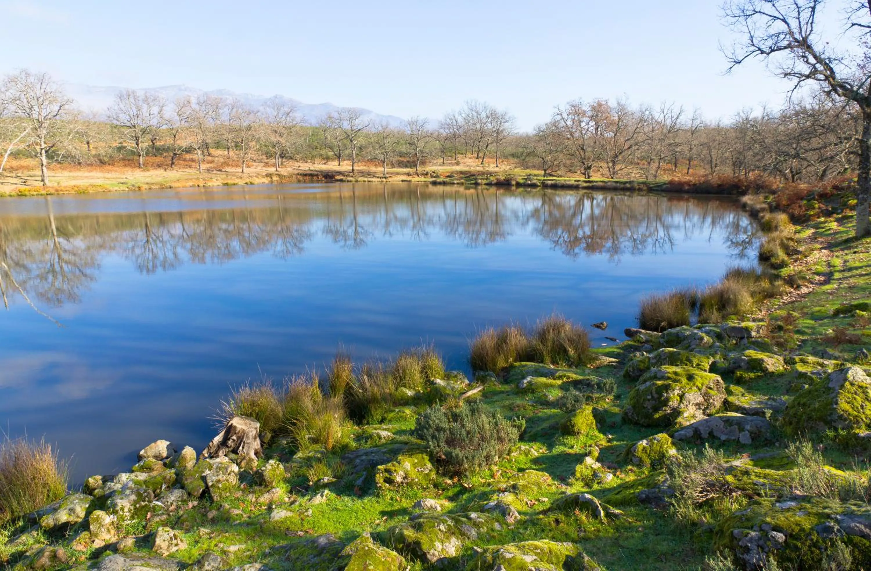Area and facilities in La Hospedería Del Silencio