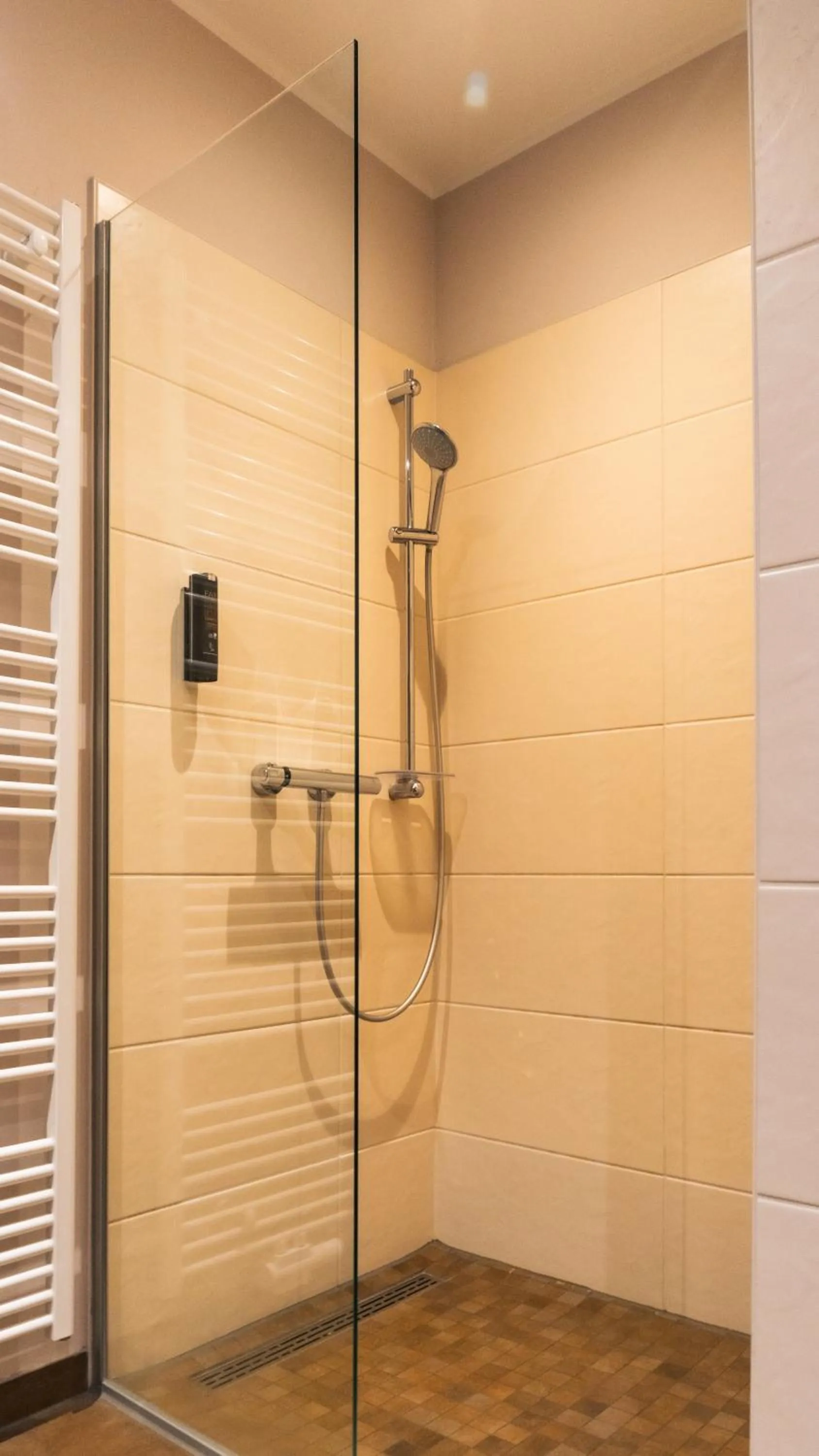 Shower in Altora Eisenbahn Themenhotel