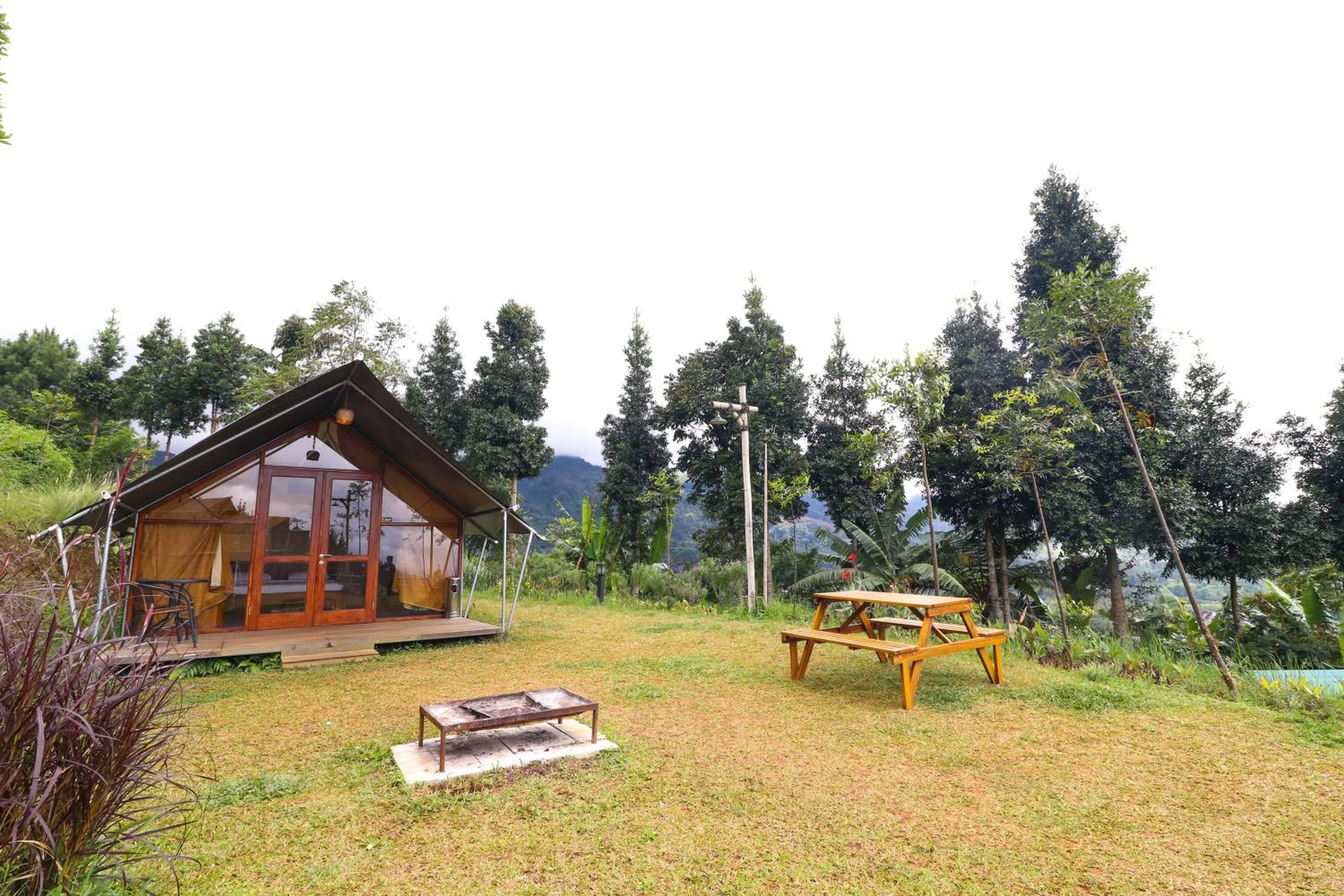 Garden in Alinson Sunset Hill