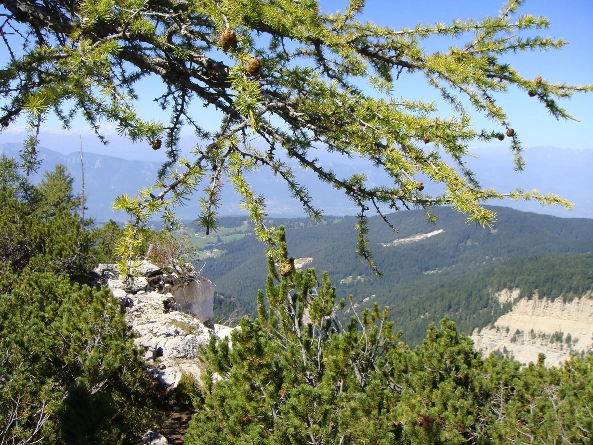 Summer in Berghotel Jochgrimm - Your Dolomites Home
