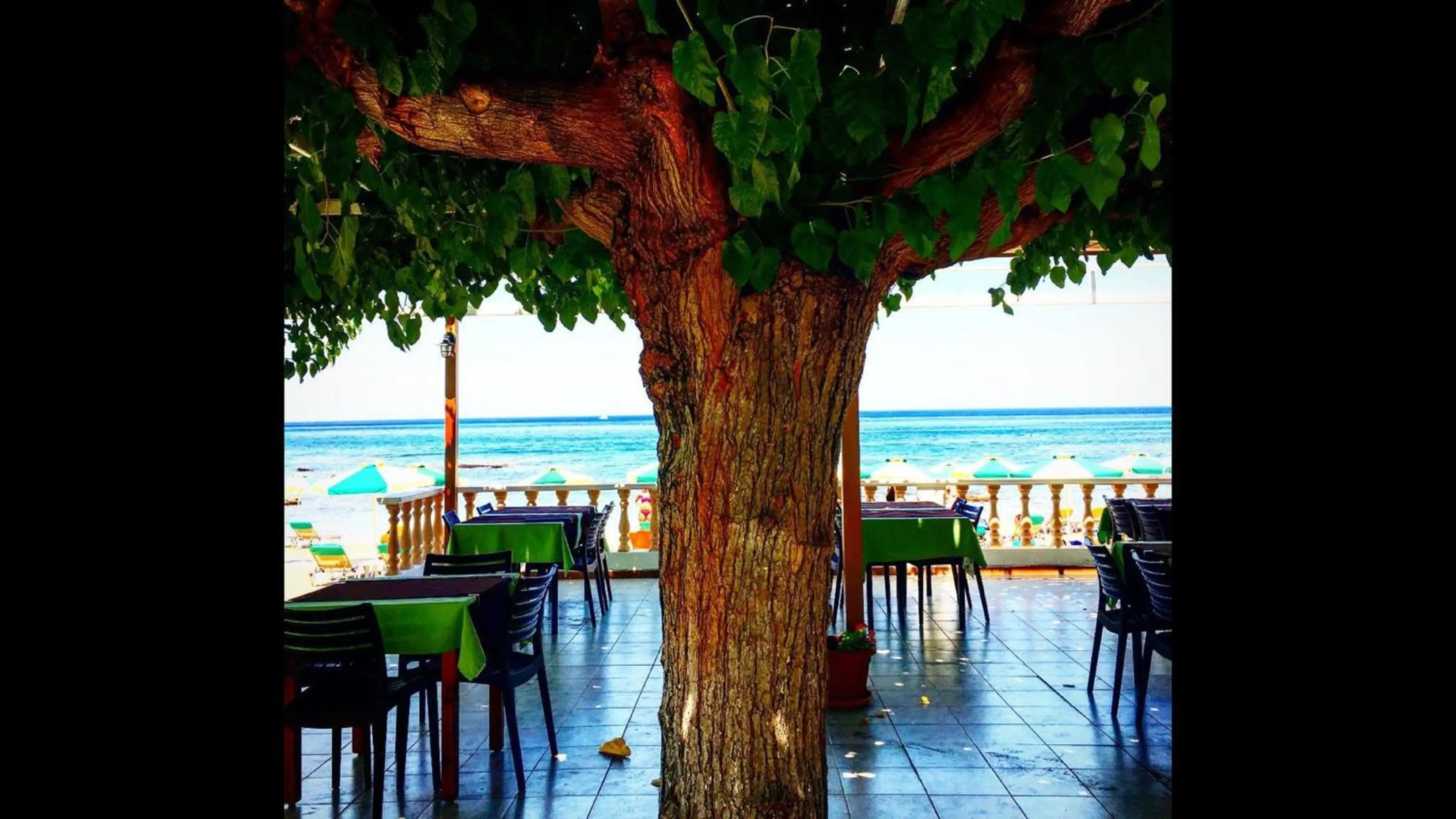 Restaurant/places to eat in Paradise Studios