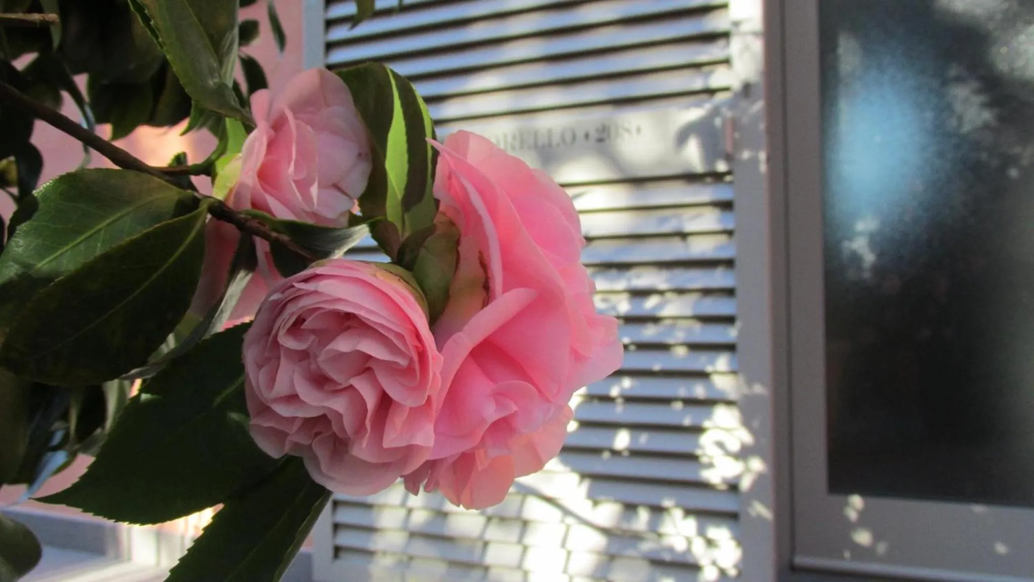 Other in Residence Fiesole