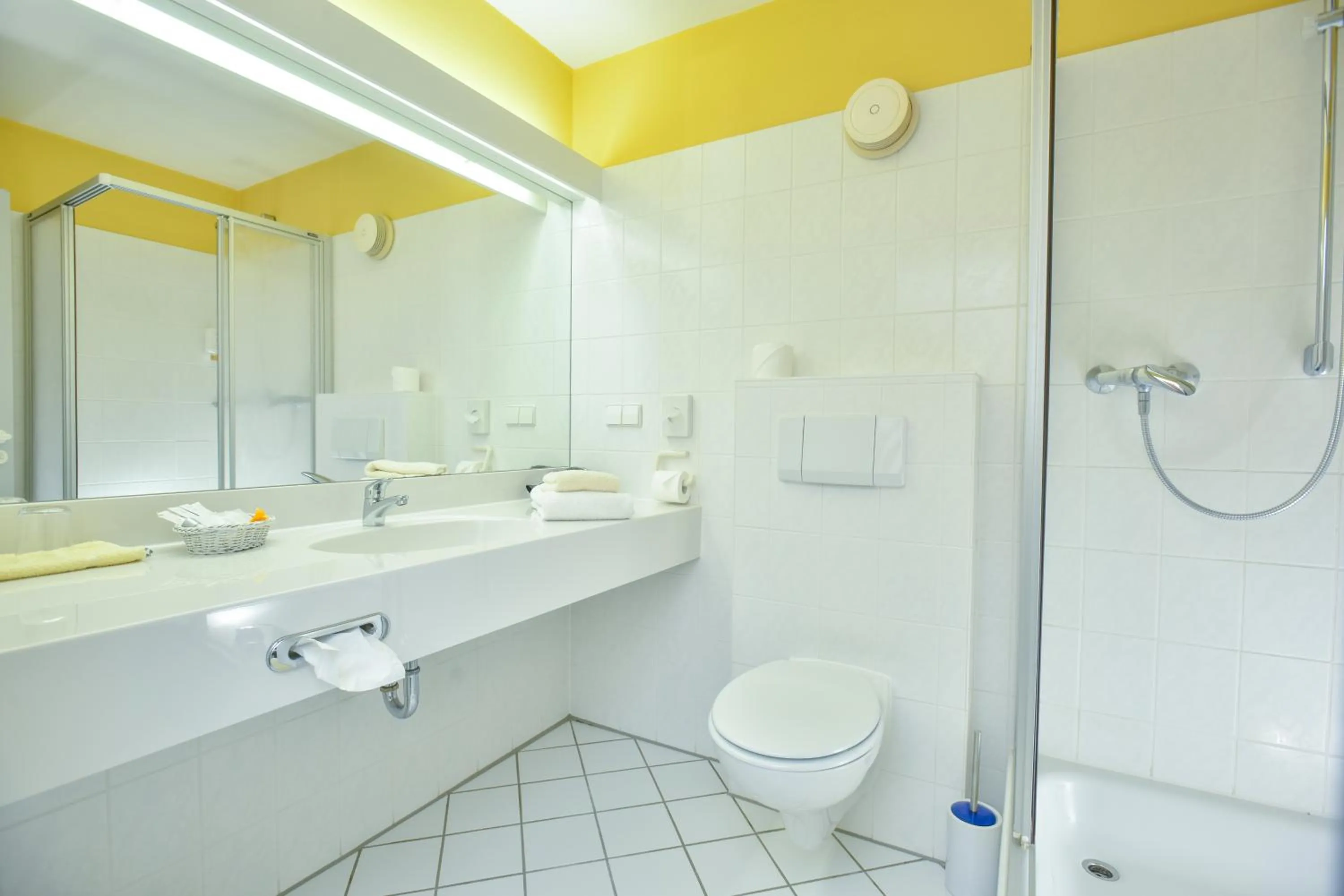 Shower in Hotel Fasanengarten