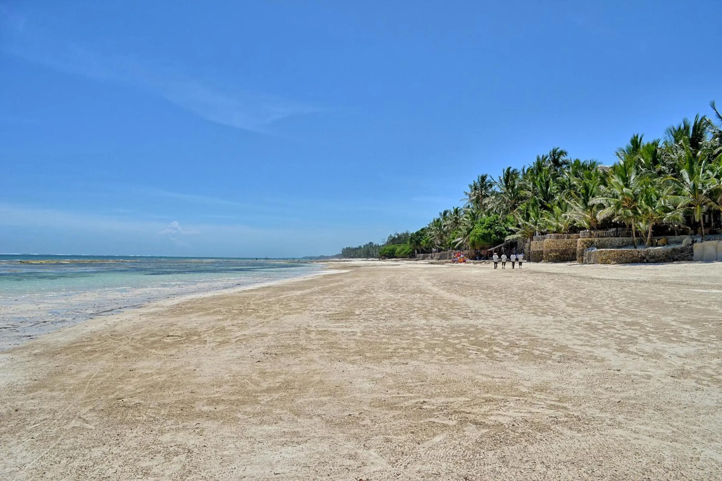 Natural landscape in Kaskazi Beach Resort