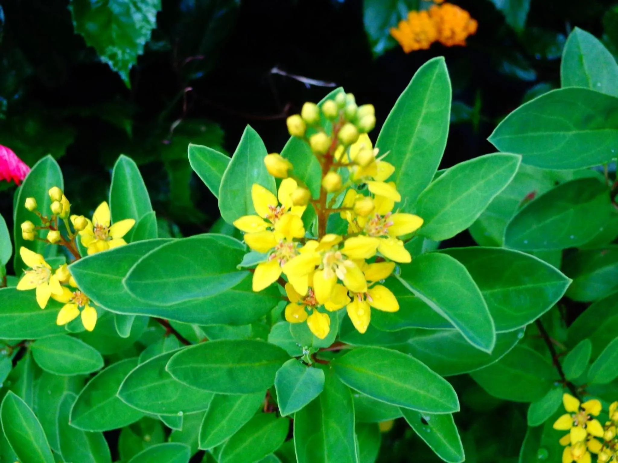 Natural landscape in Kaskazi Beach Resort