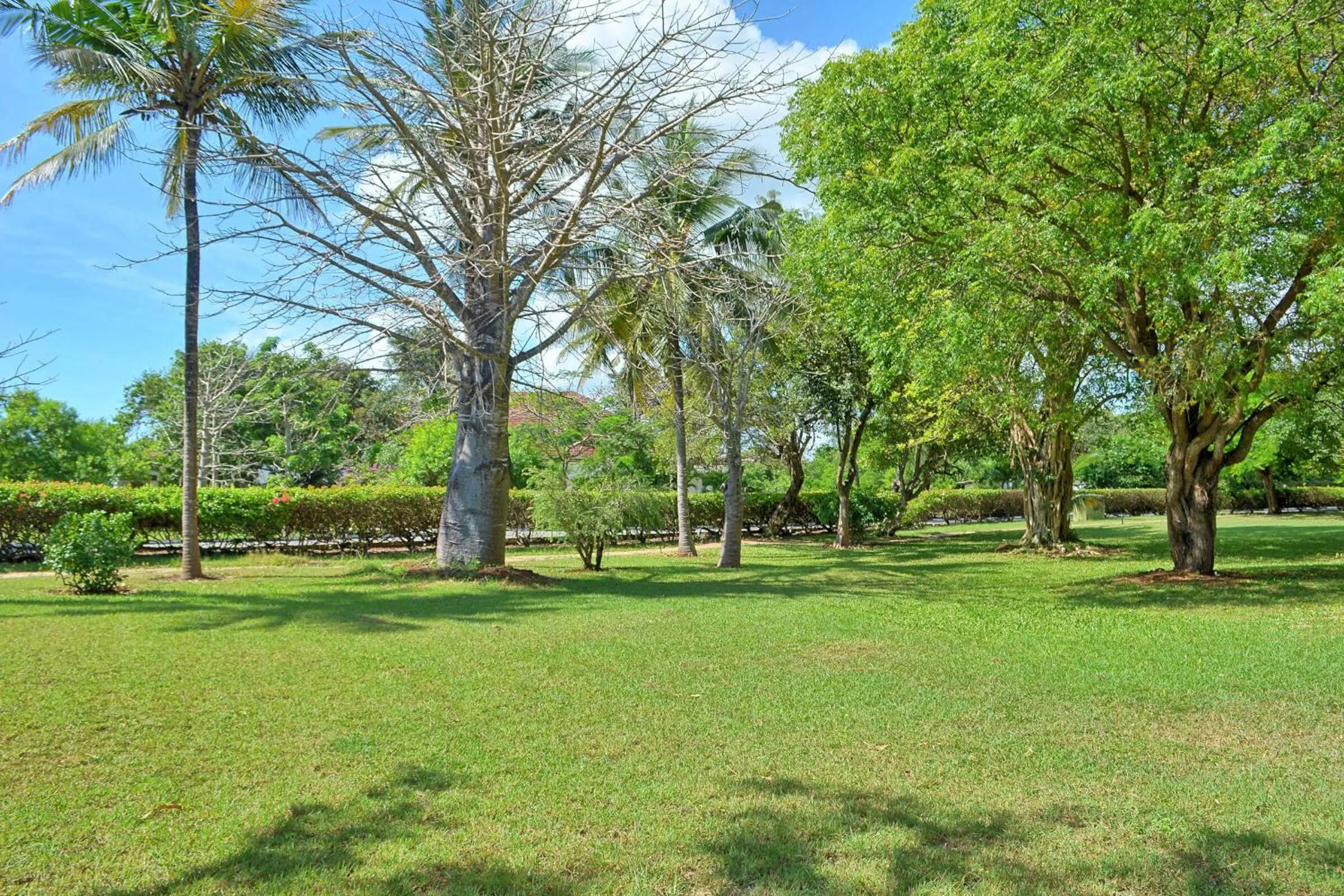 Natural landscape in Kaskazi Beach Resort