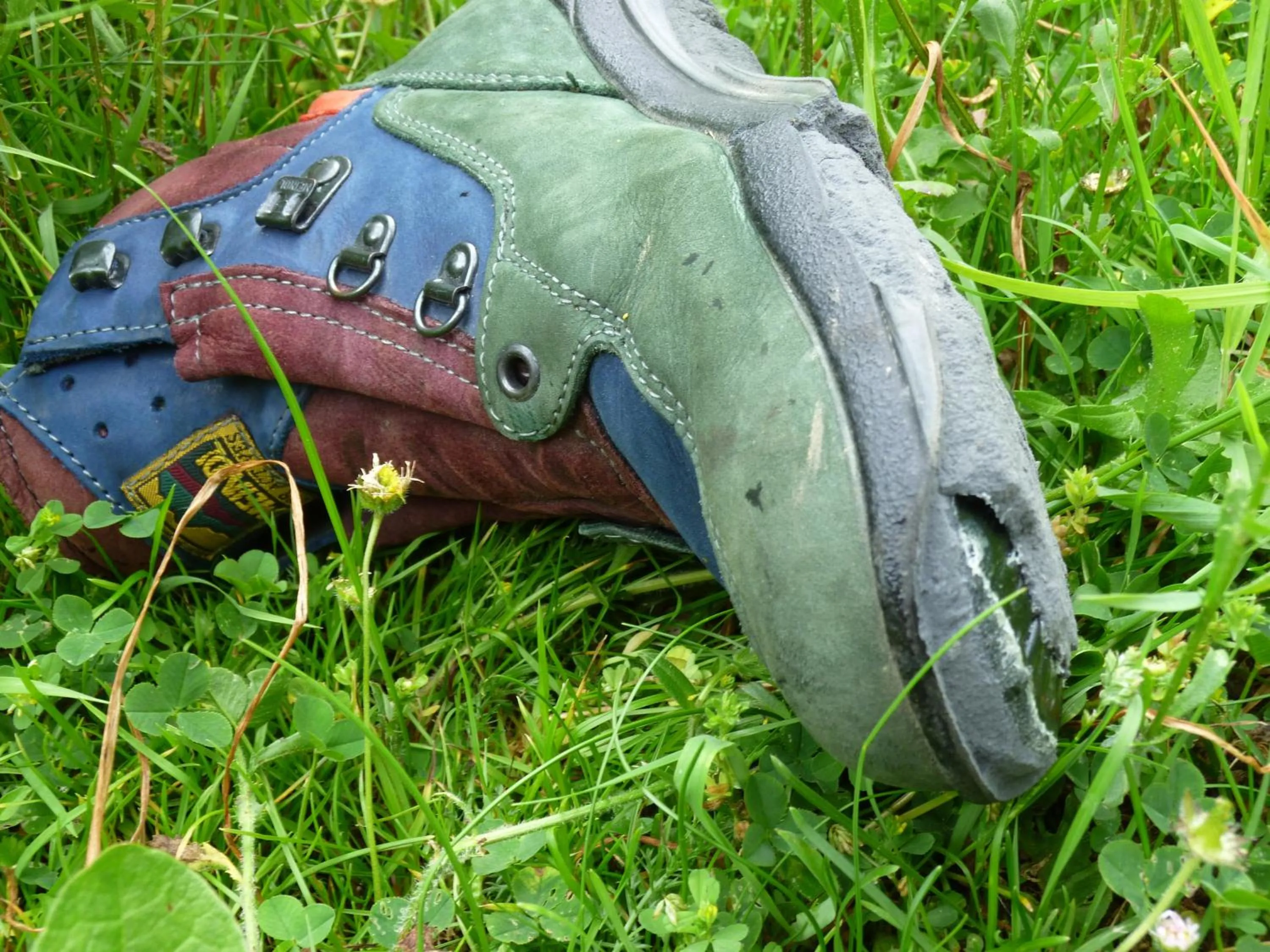 Garden in Pension Haus Diefenbach