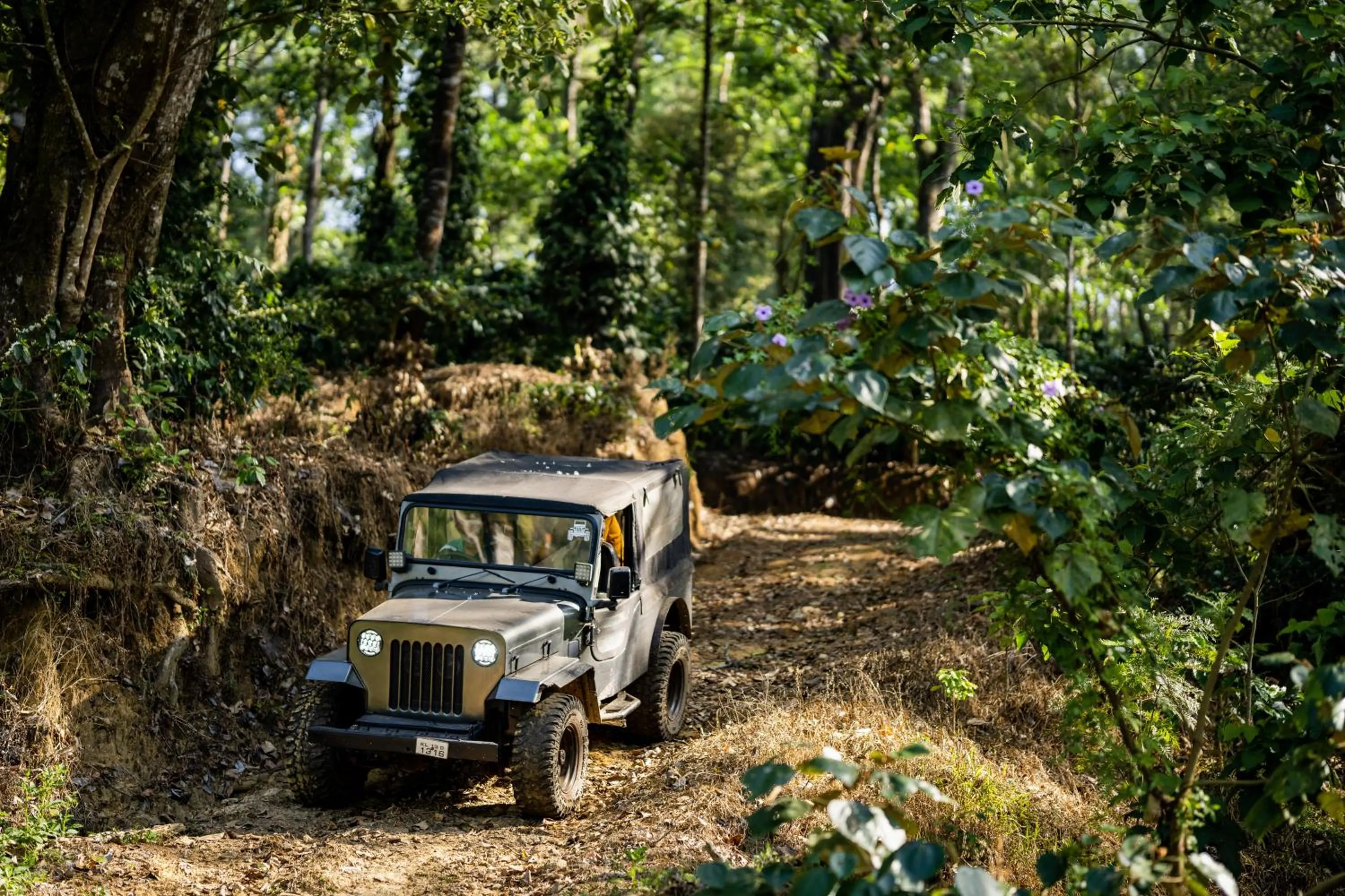 Spring in Zostel Coorg, Madikeri