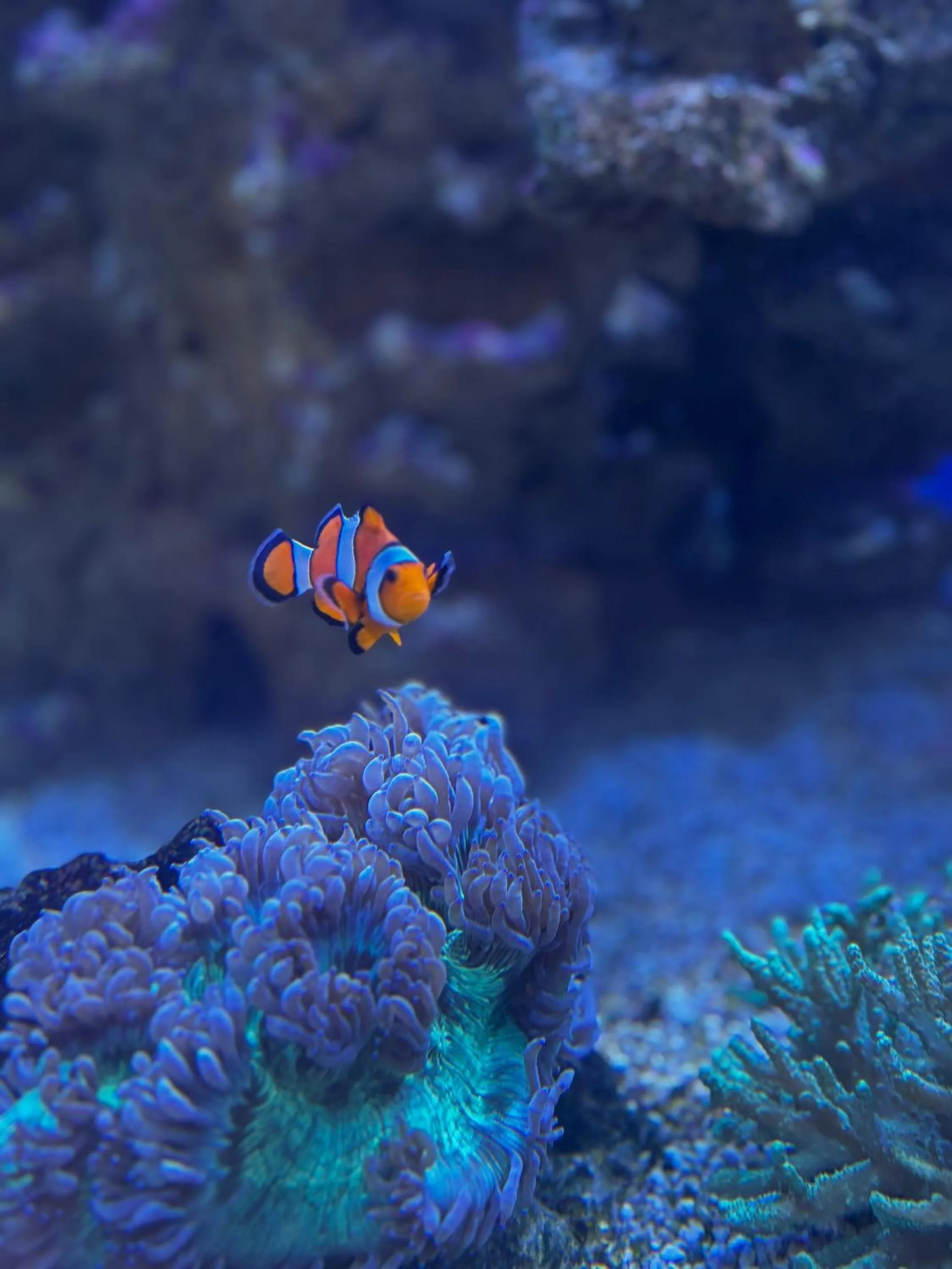 Property building in Hôtel Pax