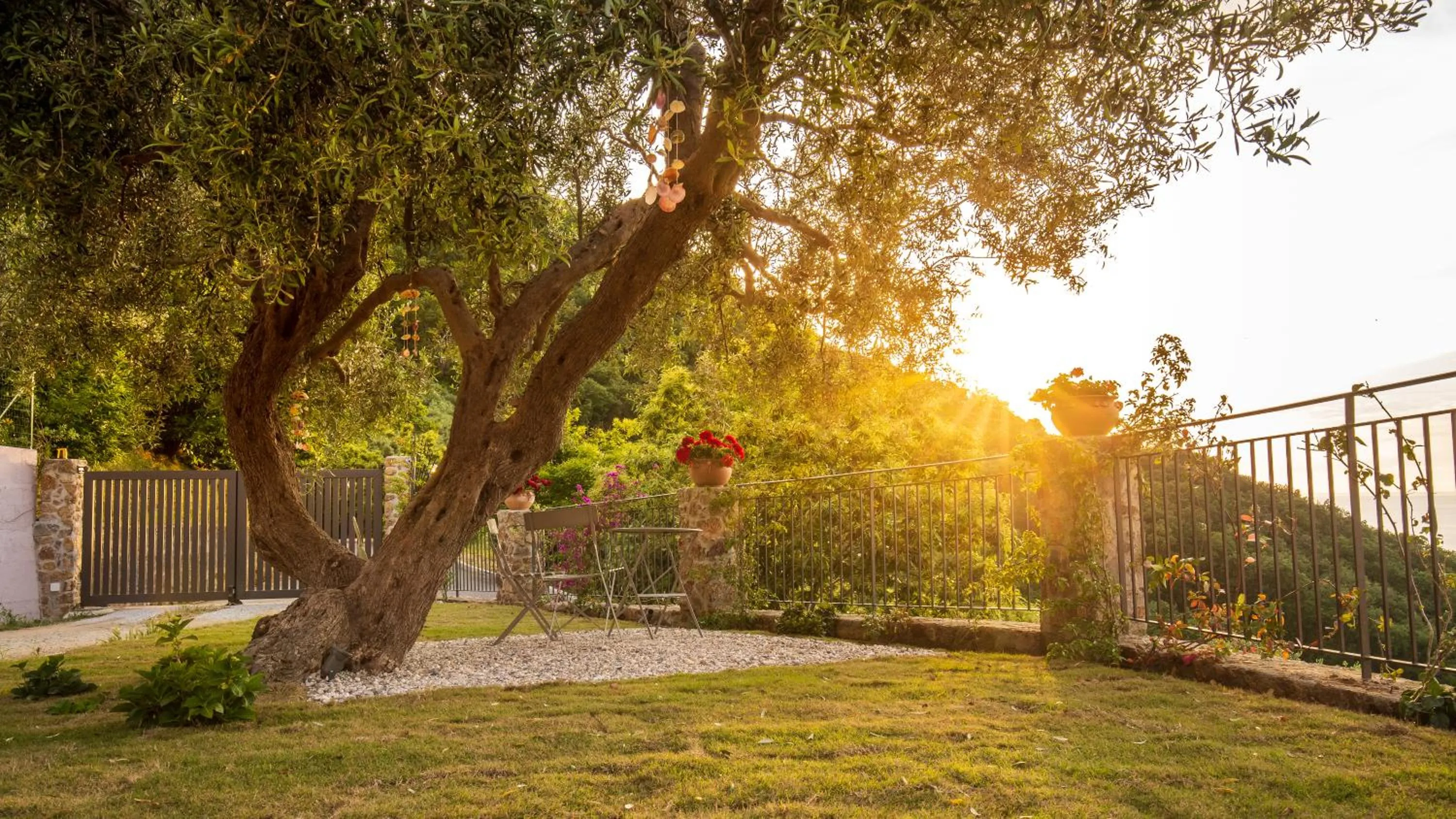 Garden in Residence Mersa