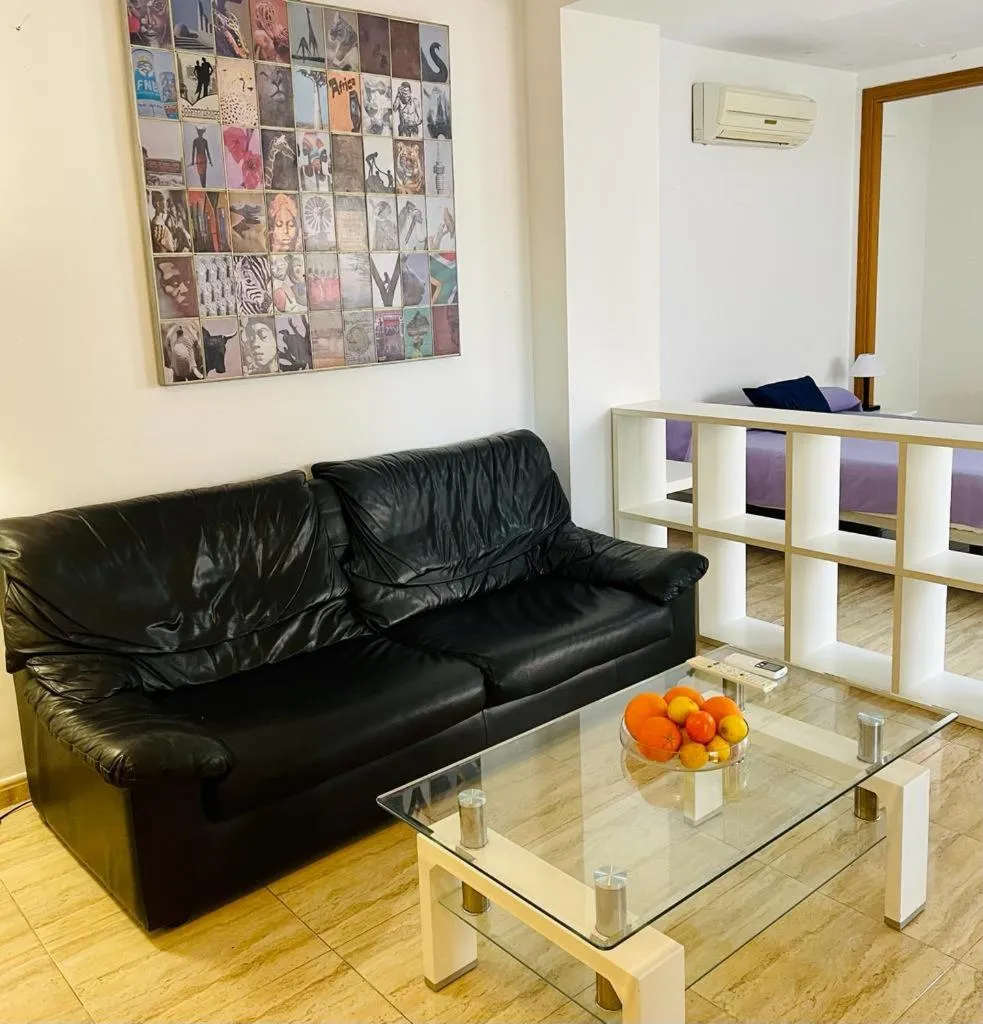 Living room in Puerta del Sol TRM only adults Aparts